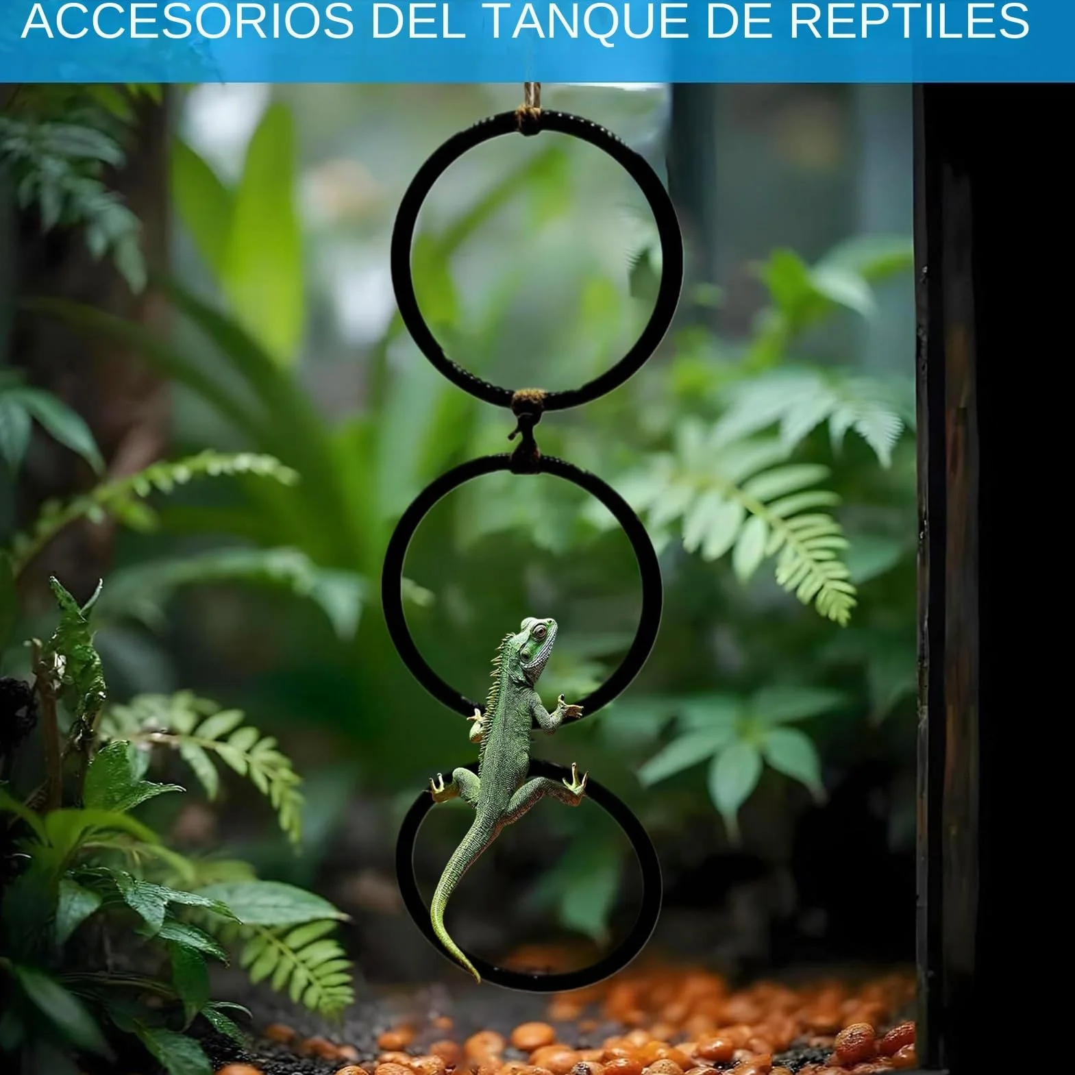 Juguetes De Enriquecimiento para Serpientes - Accesorios para Hábitat De Reptiles,con Aro Y Cadena Juego Interactivo para Anfibios Y Hábitat Interior para Mascotas