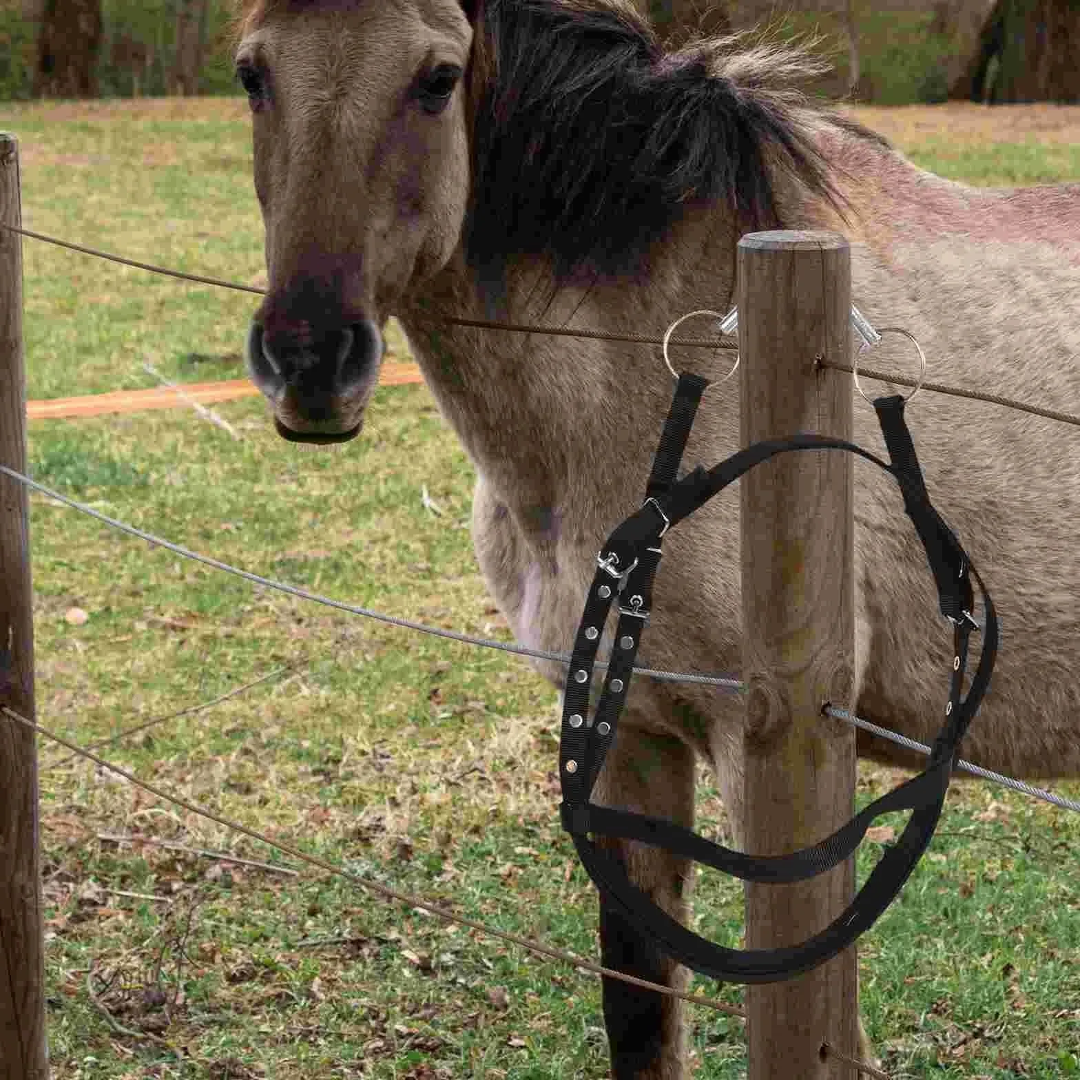 Brida de cuerda, cabestro caballo, riendas multiusos for sendero, cabestros nailon a juego, equipos ecuestres carreras caballos
