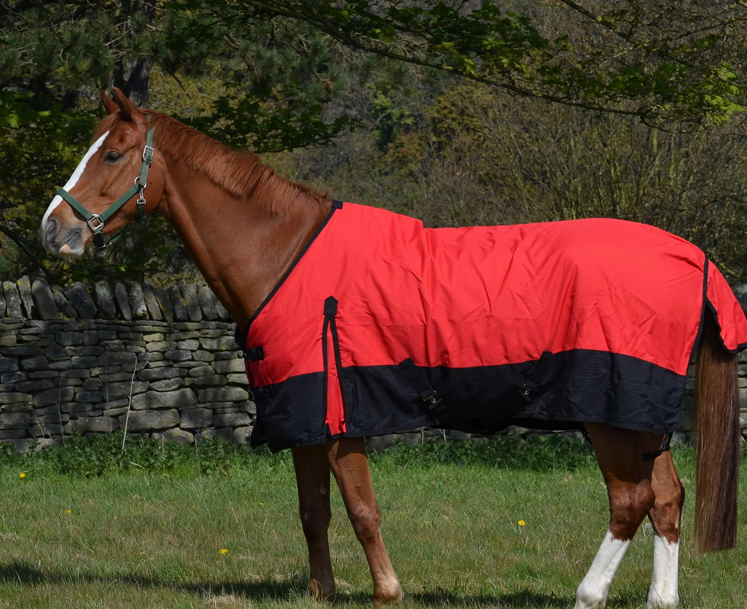 Alfombra impermeable de peso ligero 600d para caballo, relleno de 100 g
