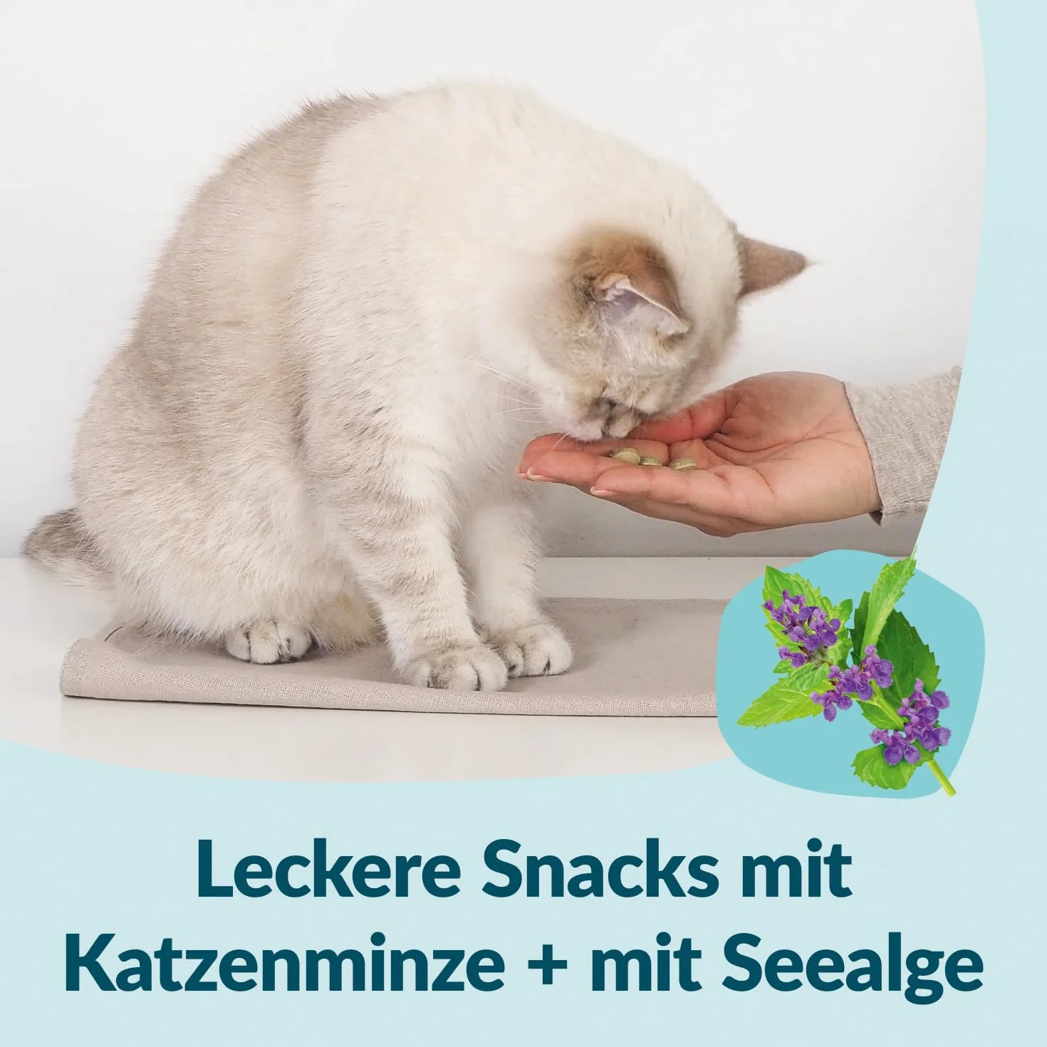 GimCat Nutri Dental Bites – Delicioso Aperitivo con una Receta específica para el Bienestar de tu Gato – 1 Bolsa (1 x 40 g)