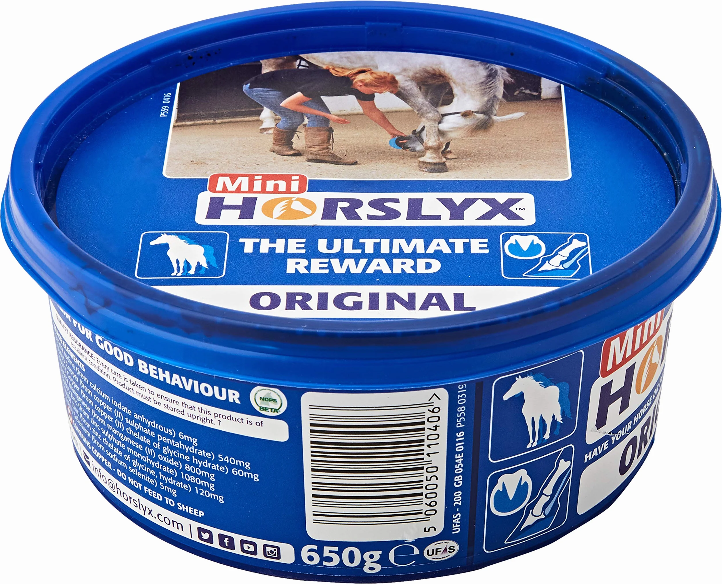 William Hunter Leckmasse ́Horslyx ́
