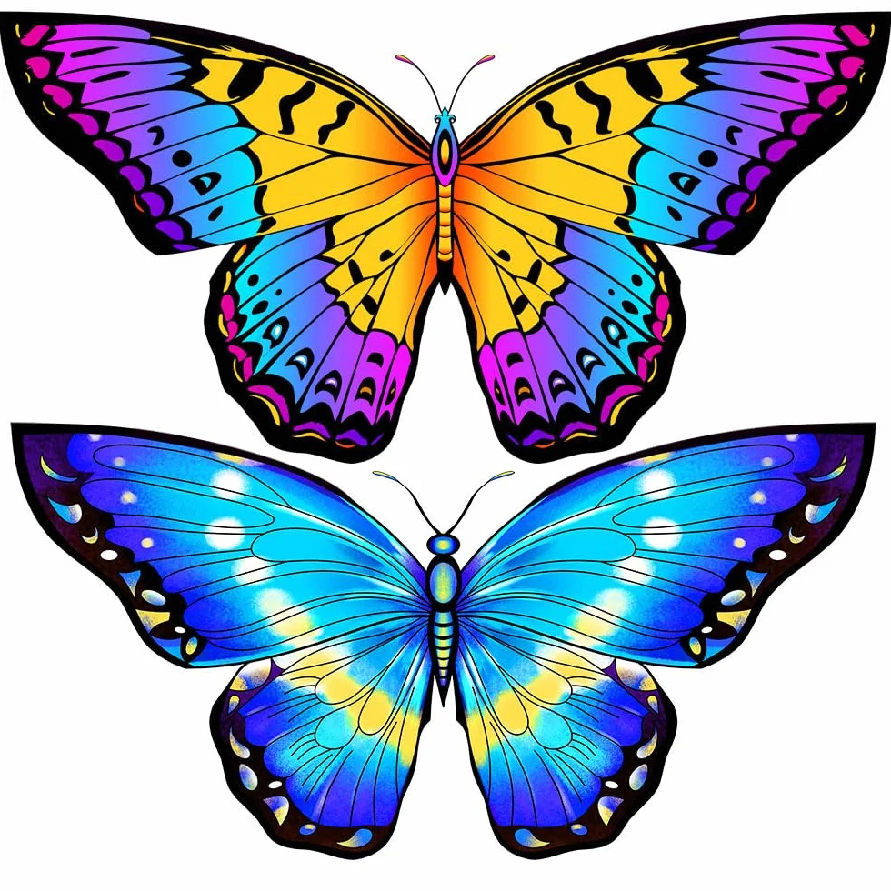 HONBO Butterfly Kite 55 x 28 inch Large Beginner Kite for Kids Adults Easy to Fly Outdoor Beach