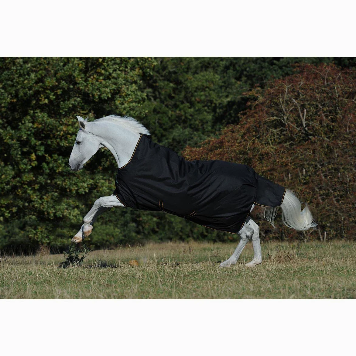 Capa impermeable para caballo - Bucas Irish Turnout Light 50g cuello alto 1200D - negro / dorado, 140
