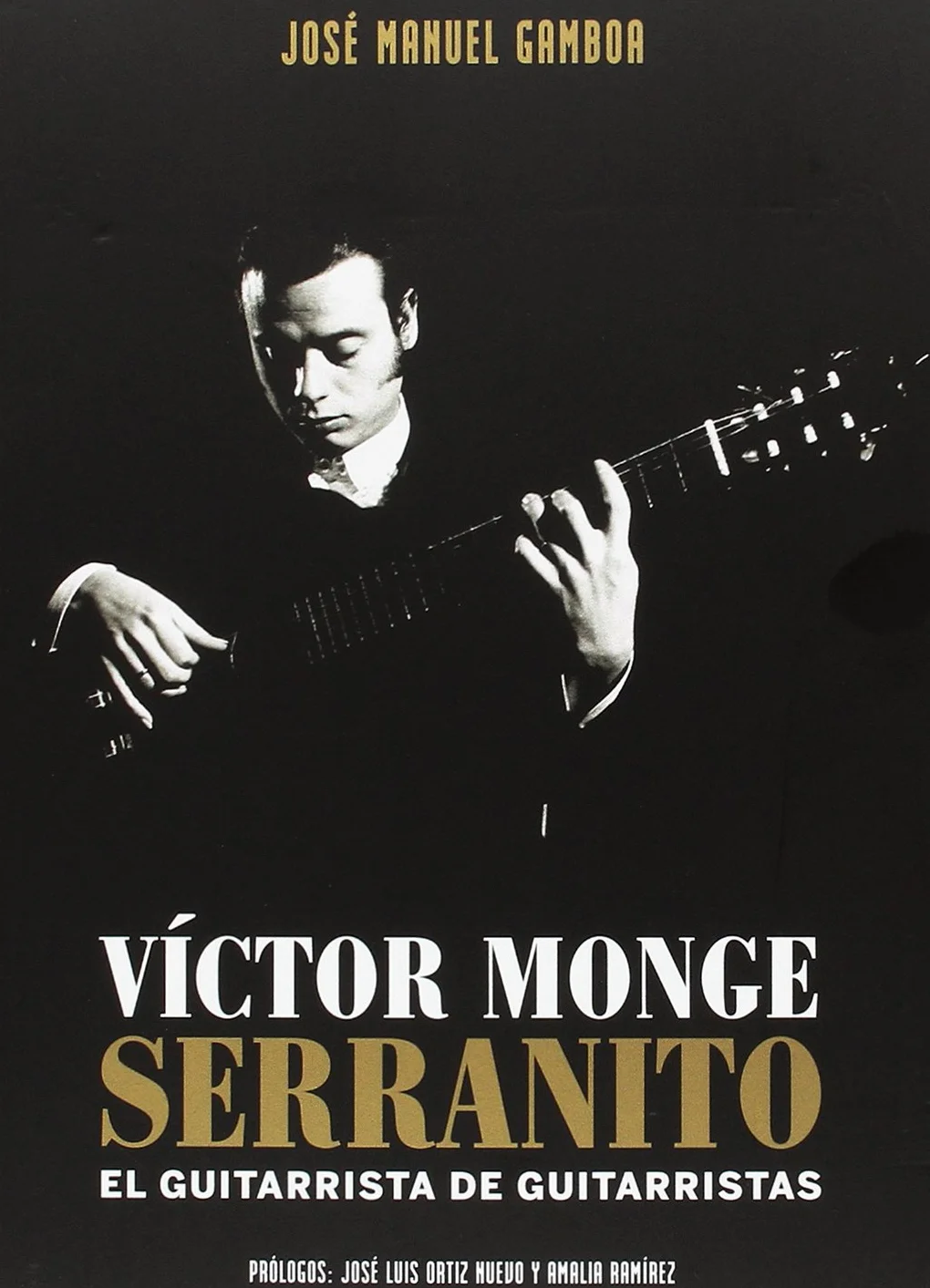 Jose Manuel Gamboa El guitarrista DVD