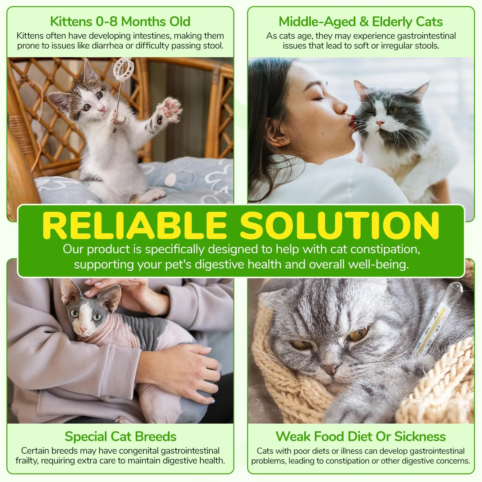 Alivio del Estreñimiento para Gatos, 60ml Tratamiento del estreñimiento para Gatos, laxante para Gatos con 6 Suplementos probióticos, promueve la Salud intestinal del