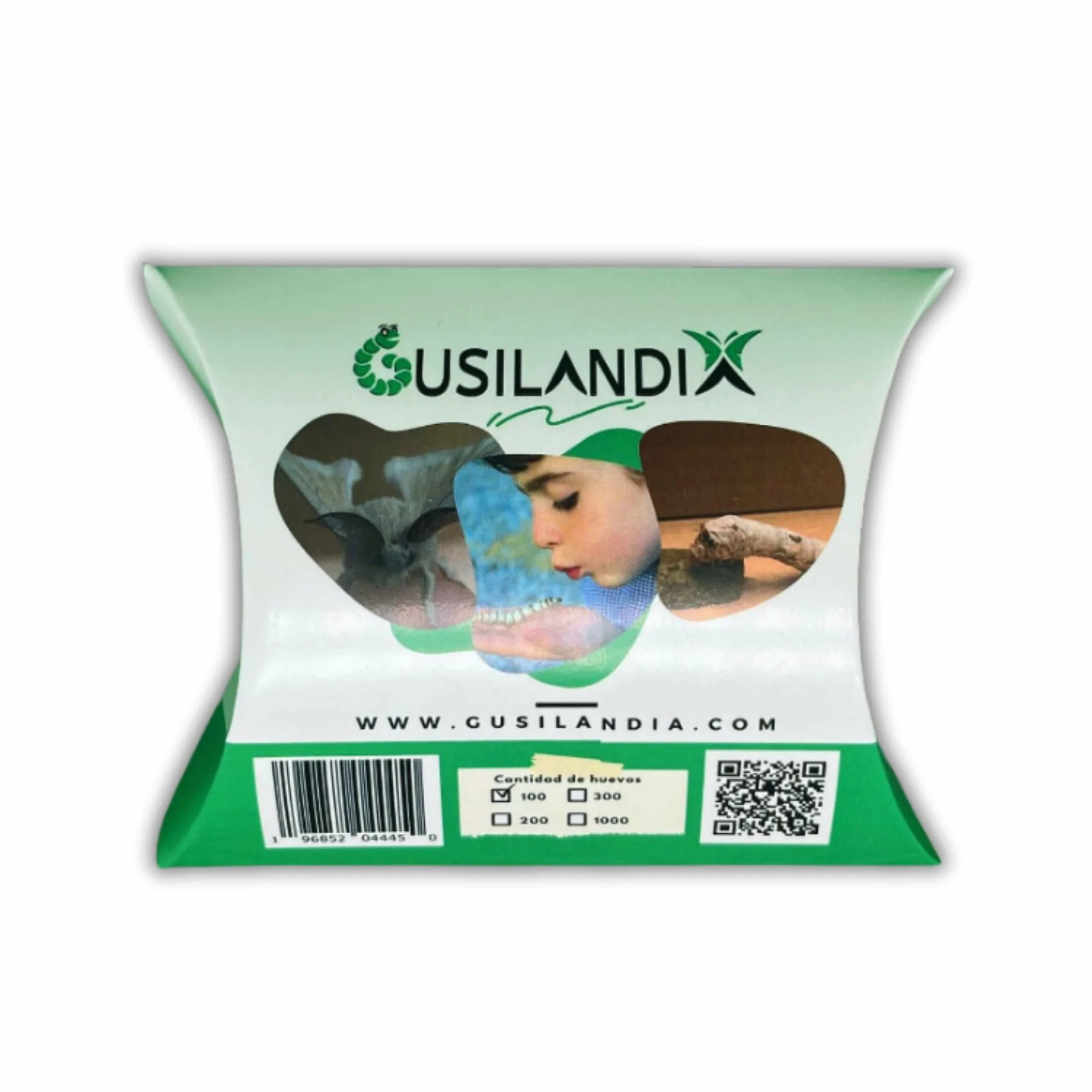 100 Huevos de Gusanos de Seda – Eclosionan en 10 días – Clásicos – Blancos