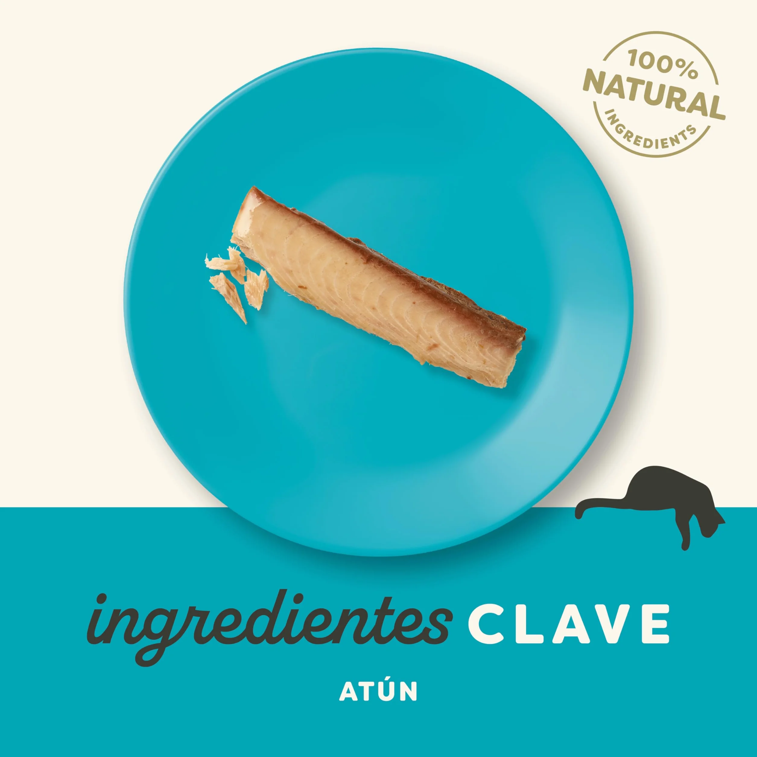 Applaws 100% Snack natural de atún para gatitos, gatos adultos y gatos mayores - Paquete de 12 bolsitas de 30 g