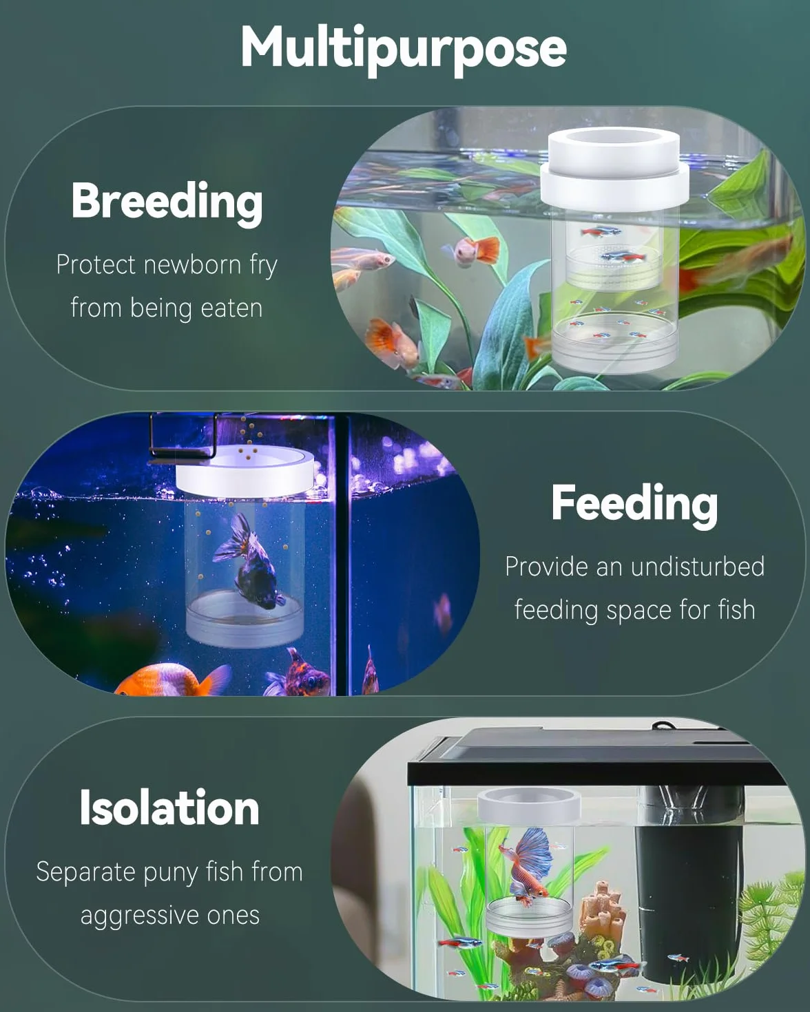 Pawfly Caja de Cría para Acuario, Pecera de Reproducción Flotante para Guppys, Separador para Alevines, Incubadora de Plástico para Camarones, Betta y Pez Payaso, Mediana