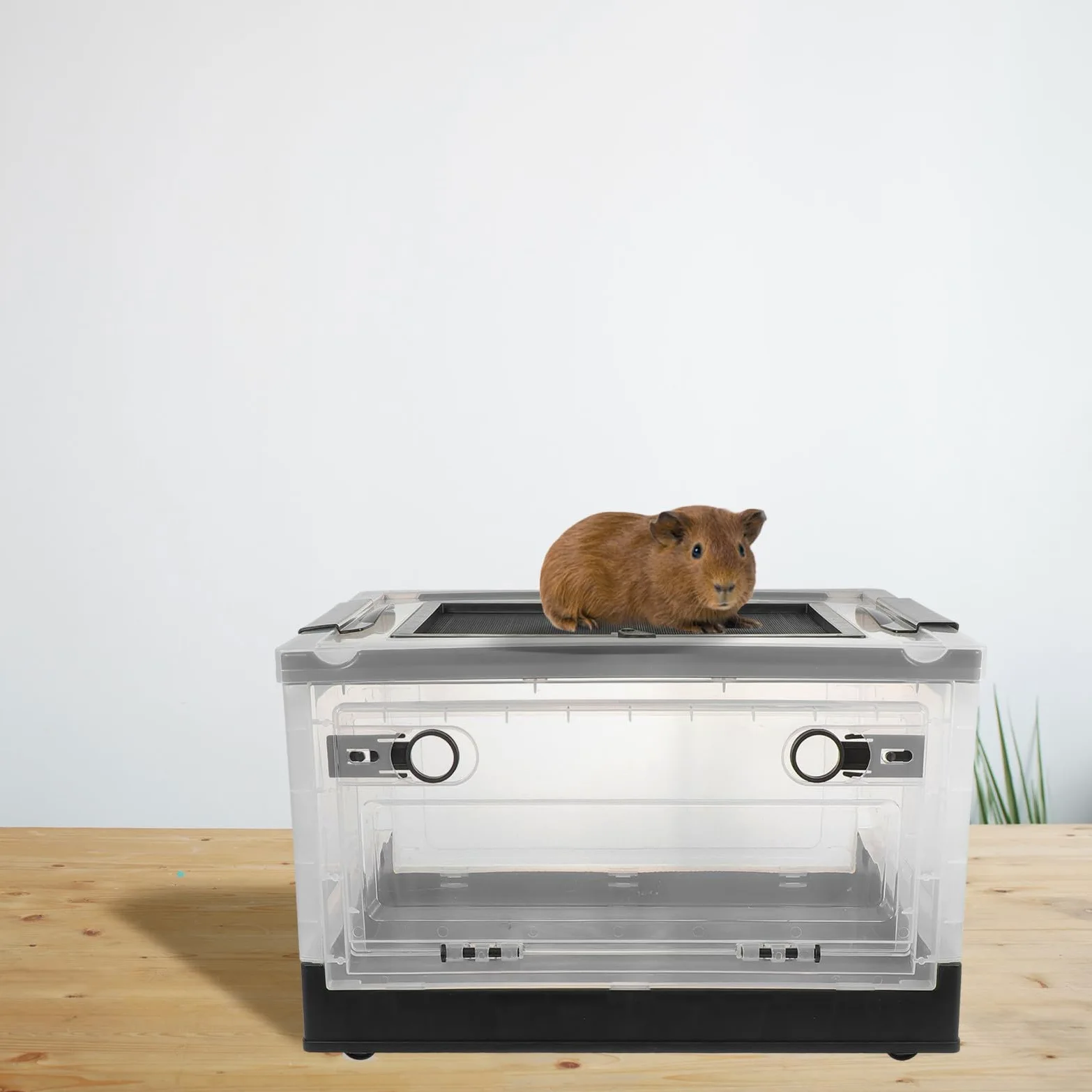 Caja de Cría para Hámster y Erizos de Plástico Negro, Diseño Plegable Múltiples Orificios de Ventilación, Fácil de Almacenar y Abrir por Delante y Arriba