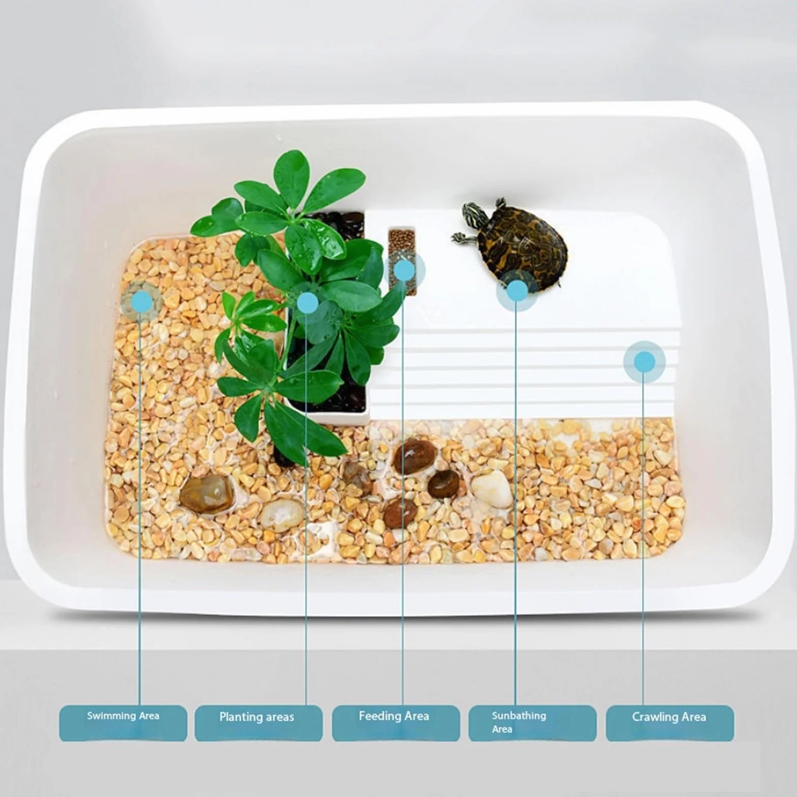 la Caja de alimentación de Reptiles, Tanque De Alimentación for Acuario con Plataforma Secado Al Sol Blanco 2 Tamaños