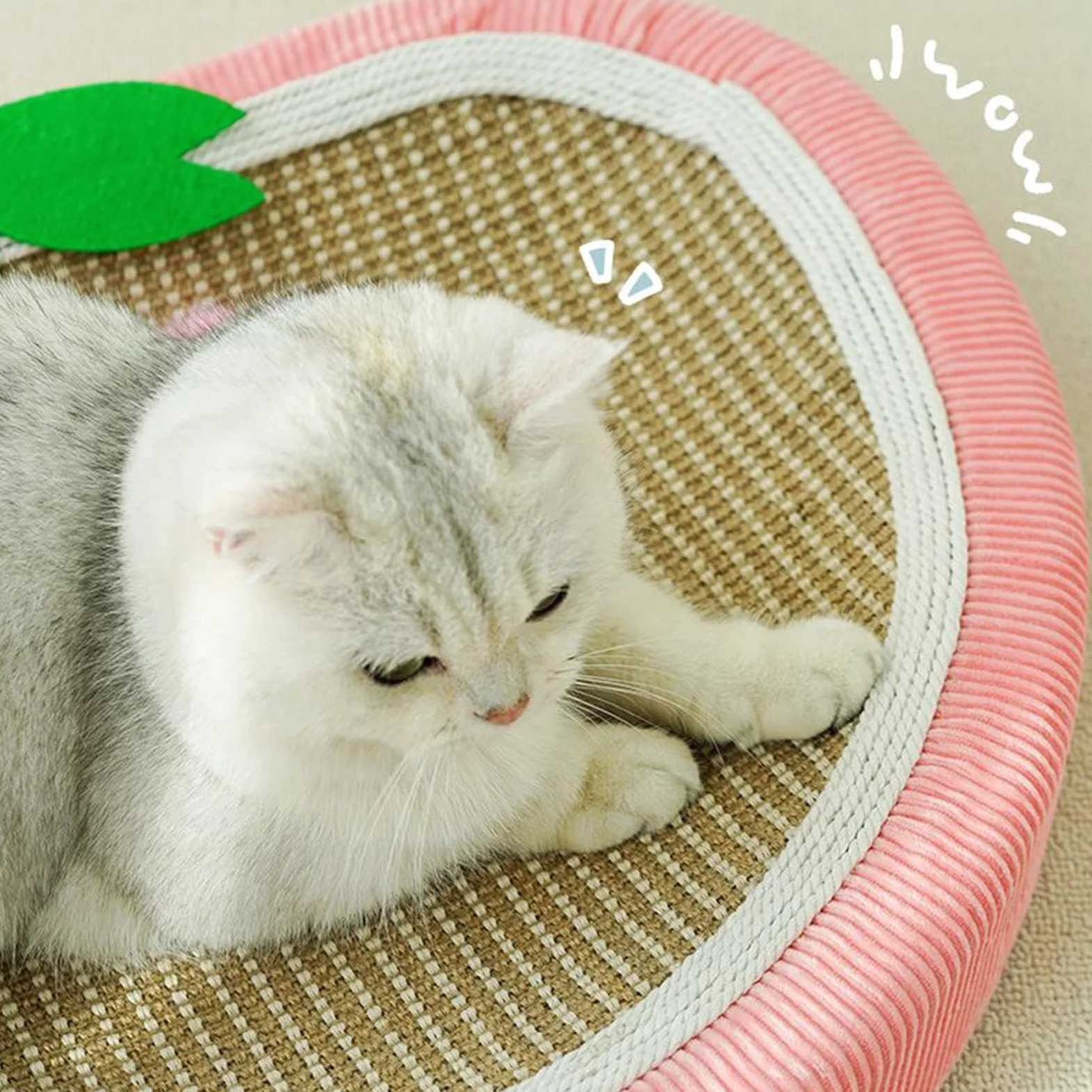 Cama Rascador de Gatos Cojín Protector Muebles Colchoneta | Cama Rascador Sisal Fresa Interior Sofá Pared Alfombra Suelo Silla Puerta Gatito Perro Pequeño Apartamento
