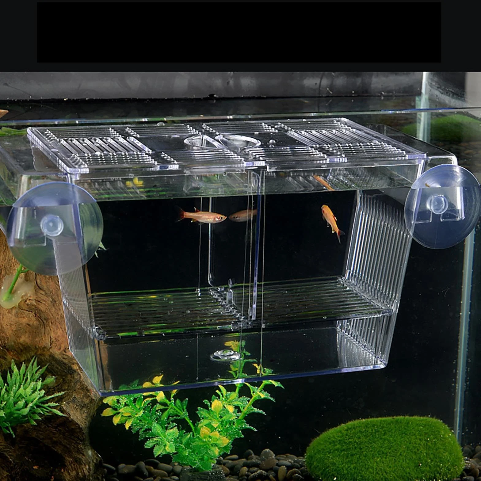 Genérico Caja De Cría De Peces, Paridera Acuario, Caja De Cría De Acrílico, Divisor De Pecera, para Camarones Betta Guppy