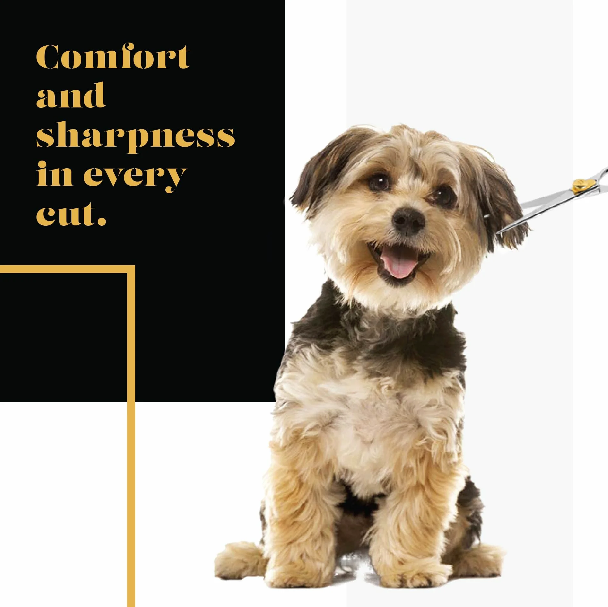 SHARF Gold Touch Tijeras de Peluquería Mascotas Cuchillas Rectas Acero Inoxidable 19 cm