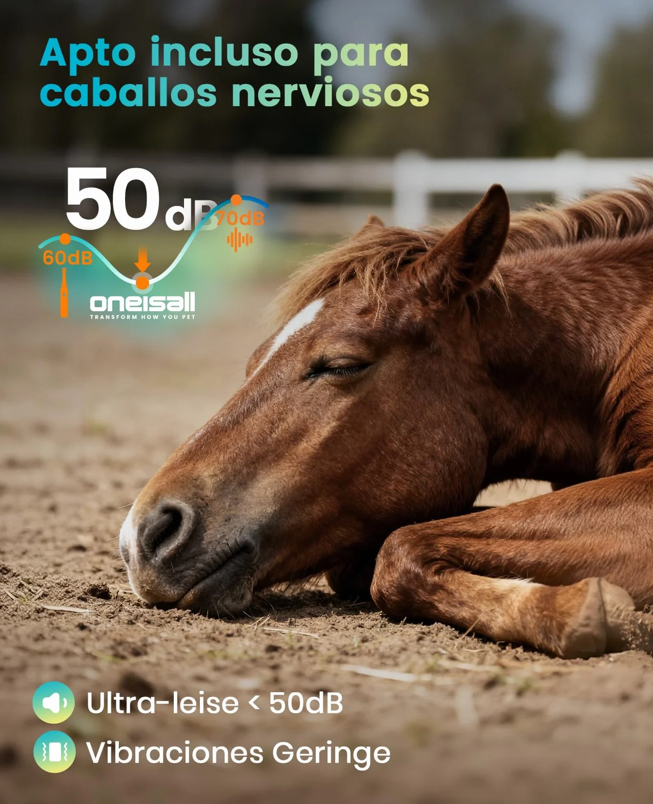 Oneisall Máquina Cortapelo para Caballos Inalámbrica 6 Accesorios Cuchilla Acero Extraíble Silenciosa Pelaje Grueso 4h Autonomía
