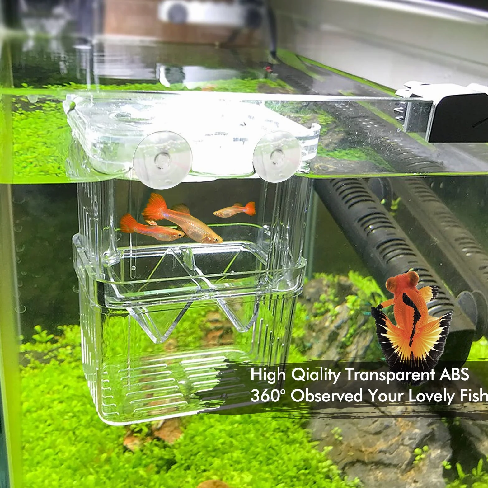 Caja de Cría de Peces de plástico Incubadora de Peces Caja,Caja de Aislamiento de Peces de Doble Capa con Ventosas para Peces Bebé