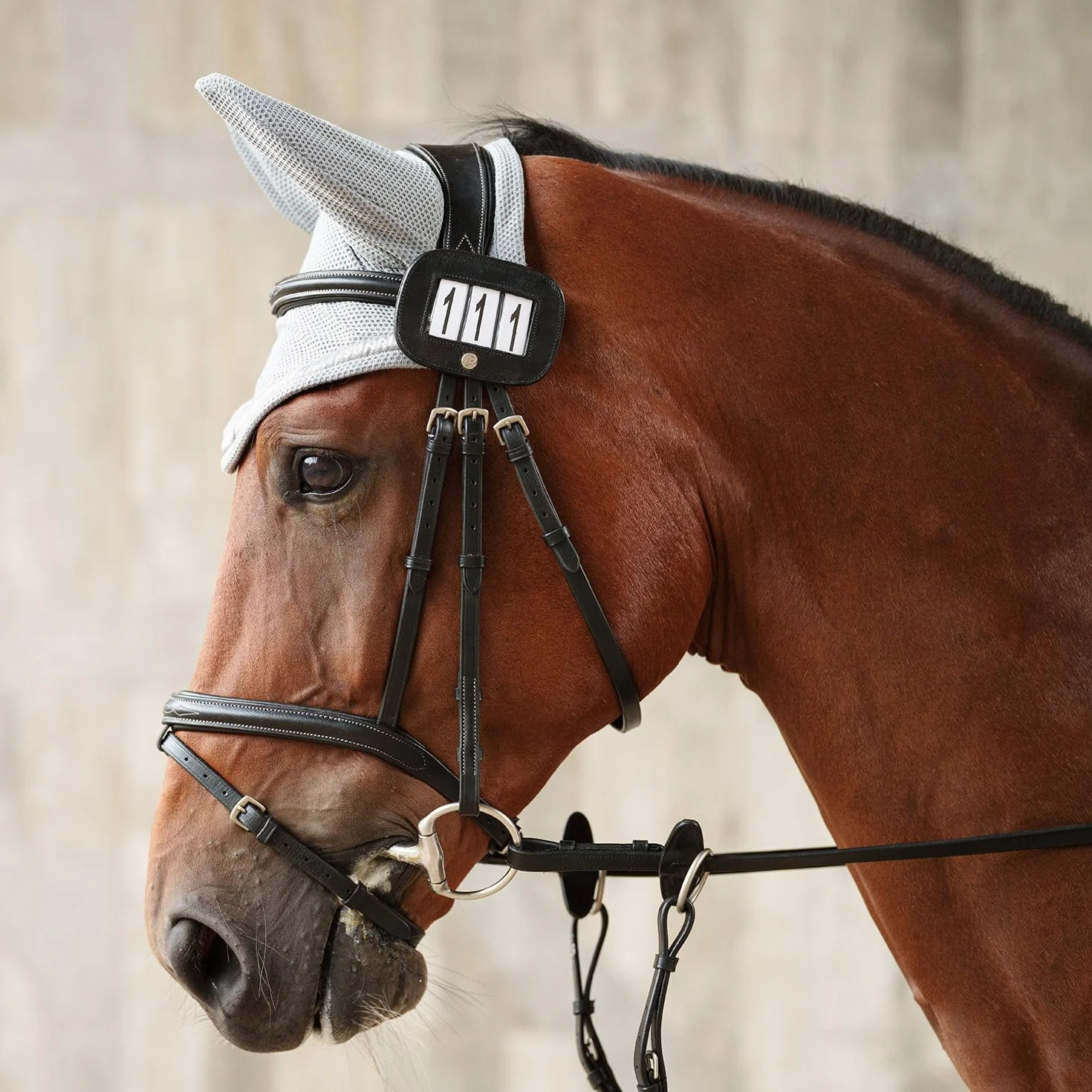 SUNRIDE Soporte para números para Caballos, 3 dígitos, 1 par, Piel auténtica, Negro