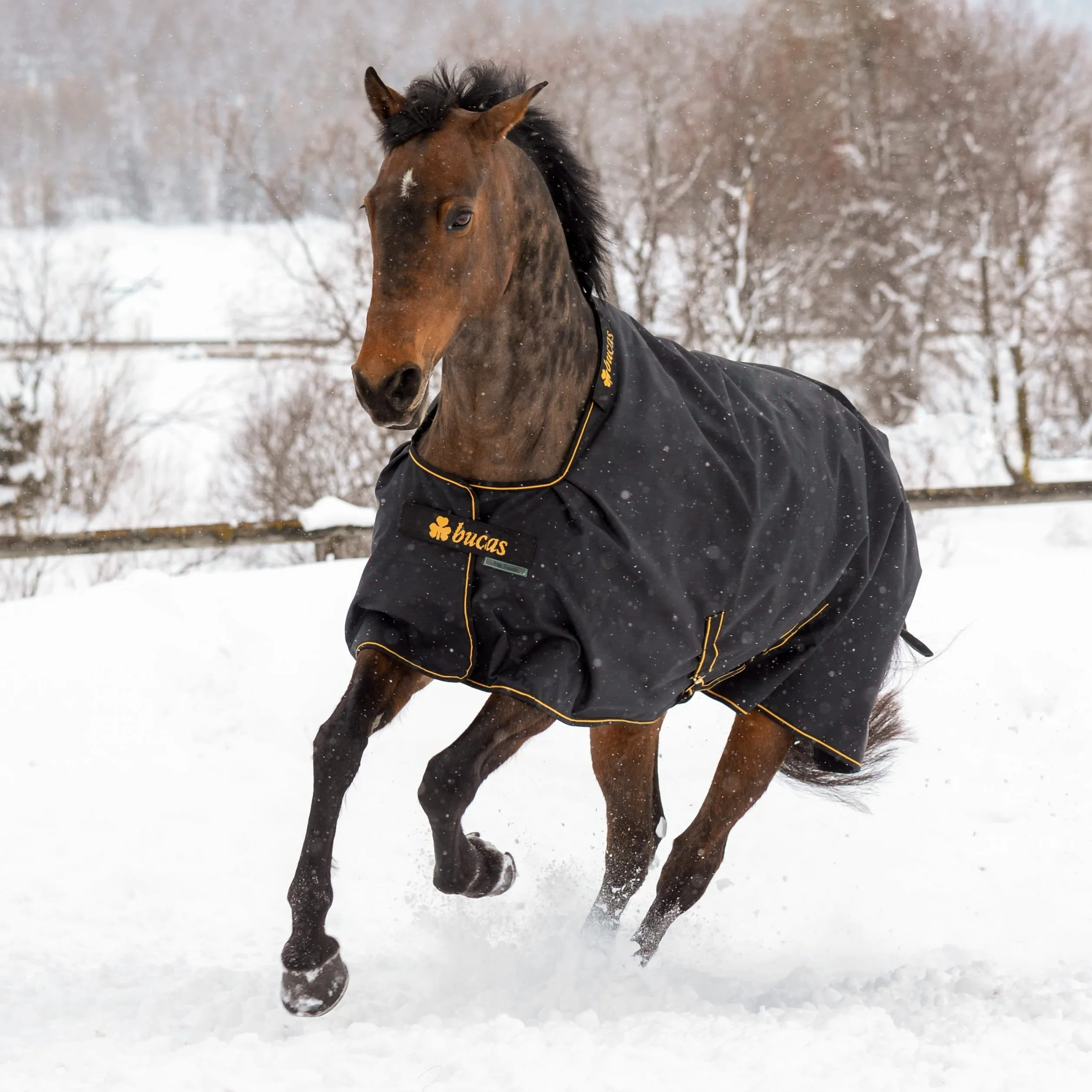 Bucas IrishTurnout - Manta para Caballo, 300 g, 165 SW/Gold