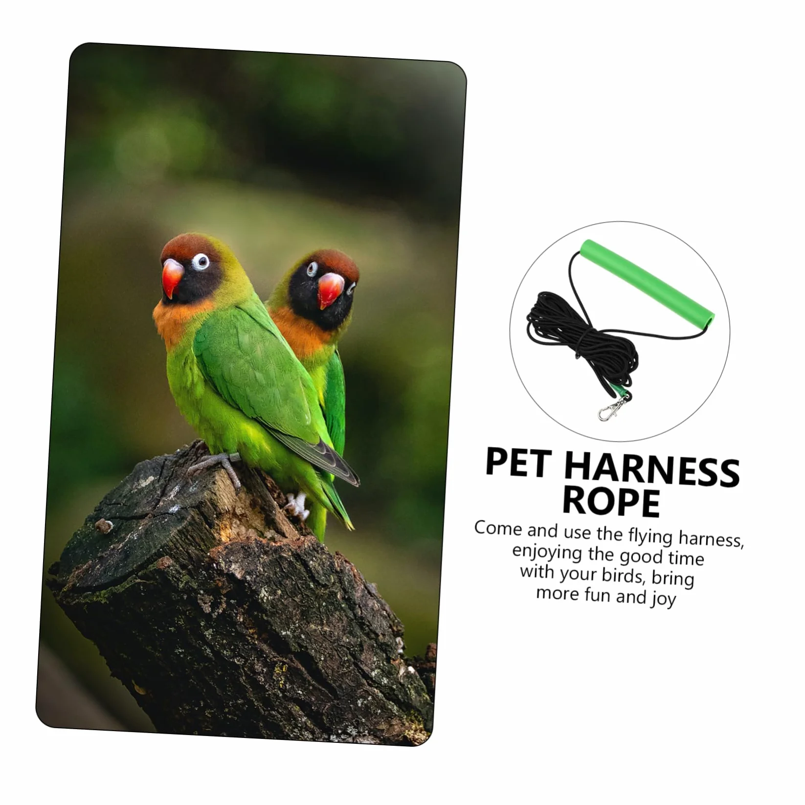 DOITOOL 2piezas Cuerda De Entrenamiento para Pájaros Arnés y Duradero para Periquitos y Cacatúas para Paseos Al Aire y Actividades De Vuelo Material Resistente Mordeduras Metros