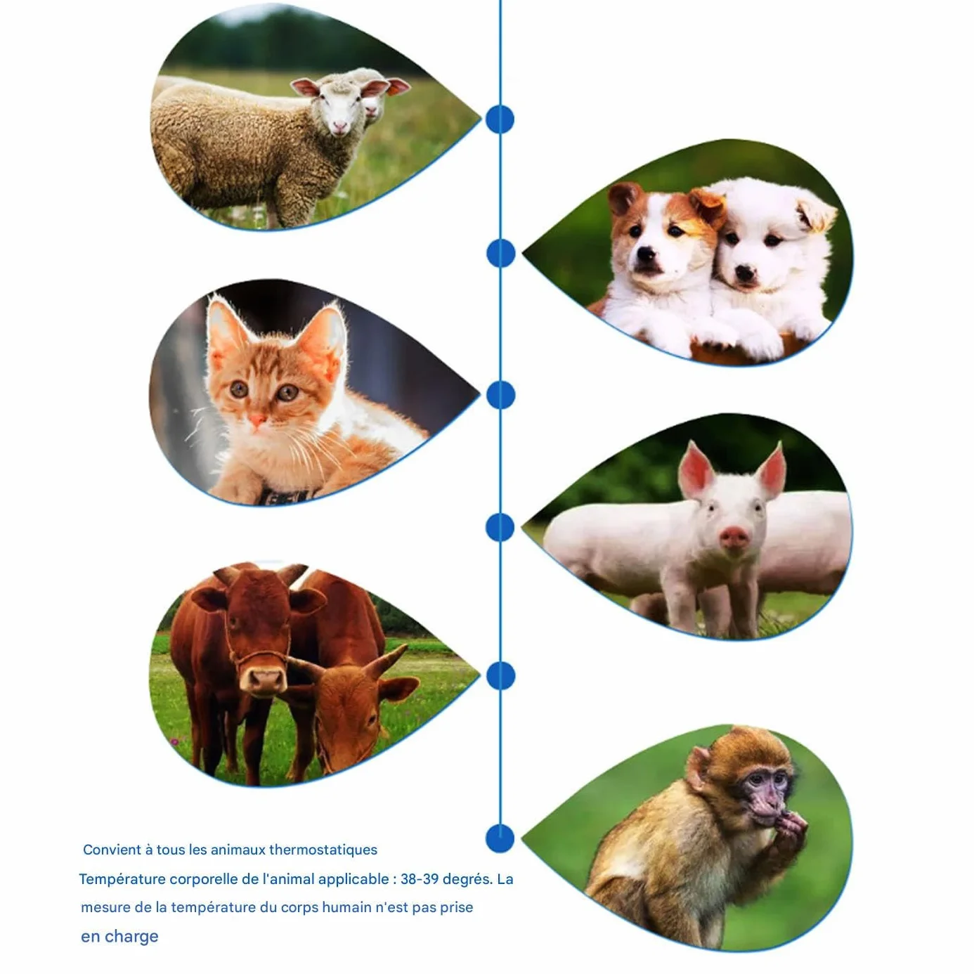 Termómetros para mascotas para perros, termómetros para orejas de gato | Suministros para mascotas - Termómetros para cachorros, dispositivo de detección de fiebre, suministros para mascotas