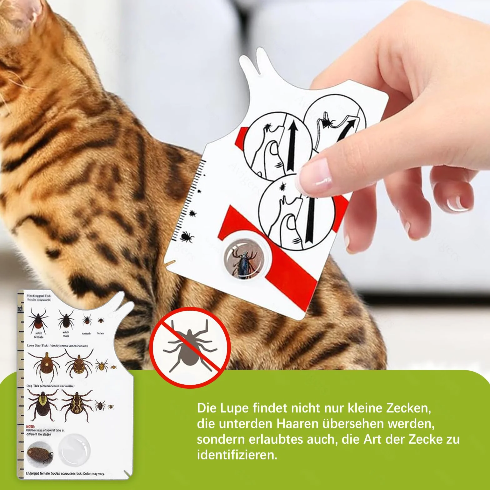 Avigers 3 tarjetas de garrapatas con lupa para humanos, niños, perros y gatos, tarjeta de garrapatas para personas al aire libre, camping y mascotas, tarjeta de tick para eliminar suavemente las
