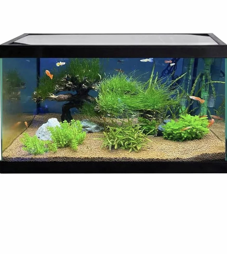 RADYS Acuario PECERA 35 litros con Kit Completo