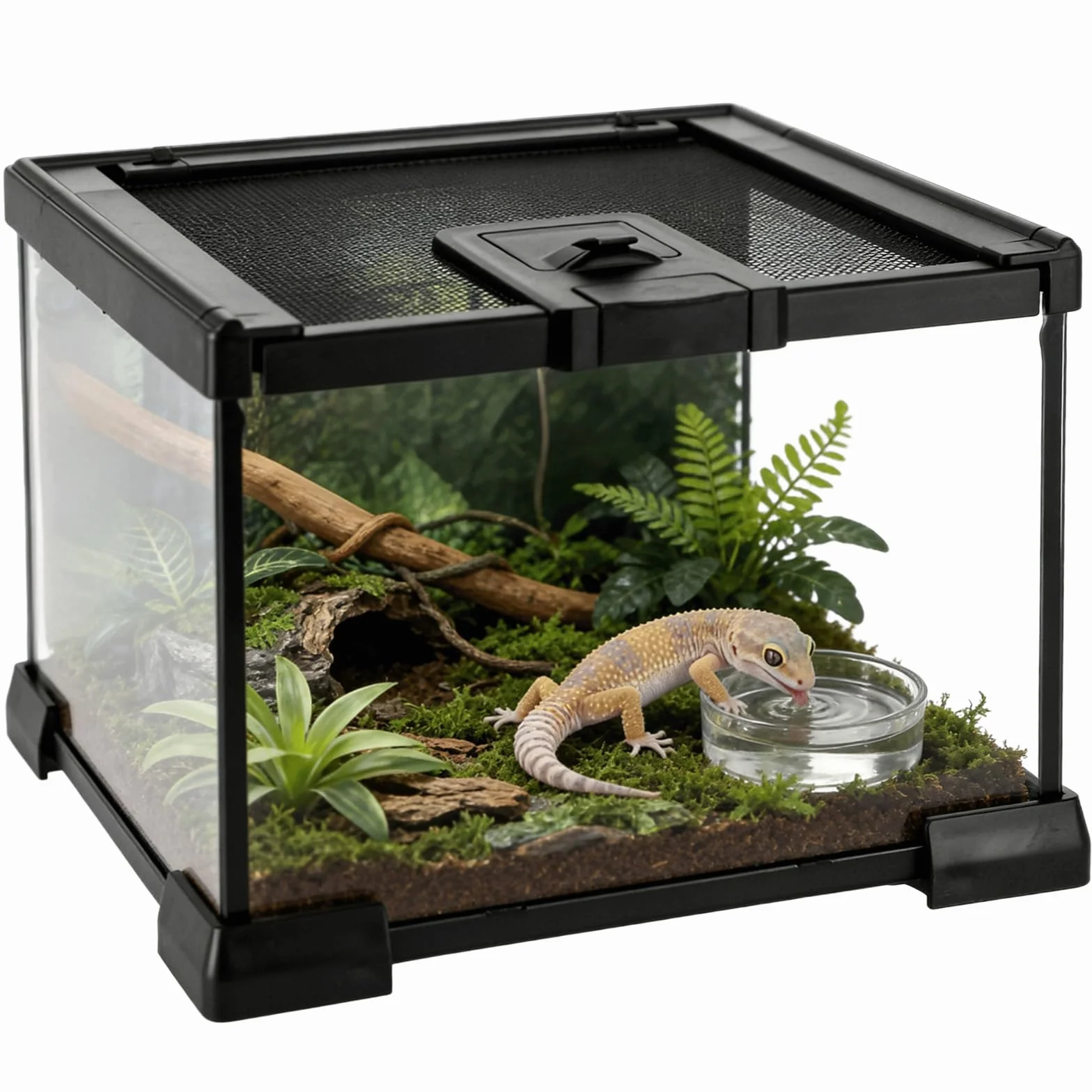 Mini terrario de vidrio para reptiles de 7.9 x 7.9 x 5.7 pulgadas, tanque apilable para vivero de selva tropical, jaula de anfibios de visión completa para tortugas, gecos, ranas, cangrejos ermitaños