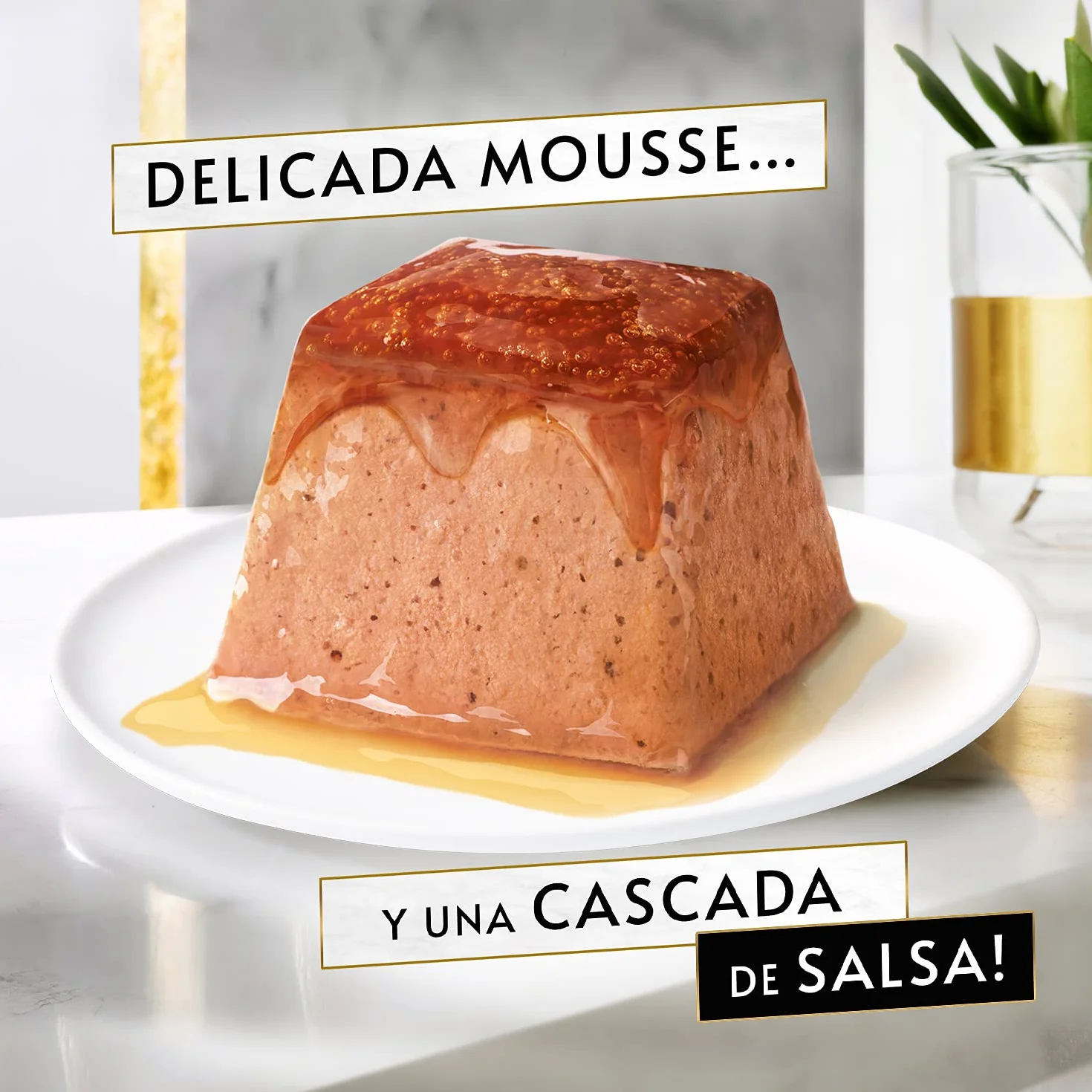 GOURMET Revelations, Comida Húmeda para Gato Adulto, Mousse con Salsa de Pollo, 6 Packs de 4 Pirámides de 57 g. (24 pirámides)