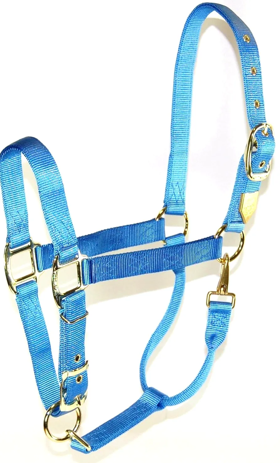 Hamilton Cabestro de Nailon de 1 Pulgada con mentón Ajustable, MRC101, Azul Berry, 1"
