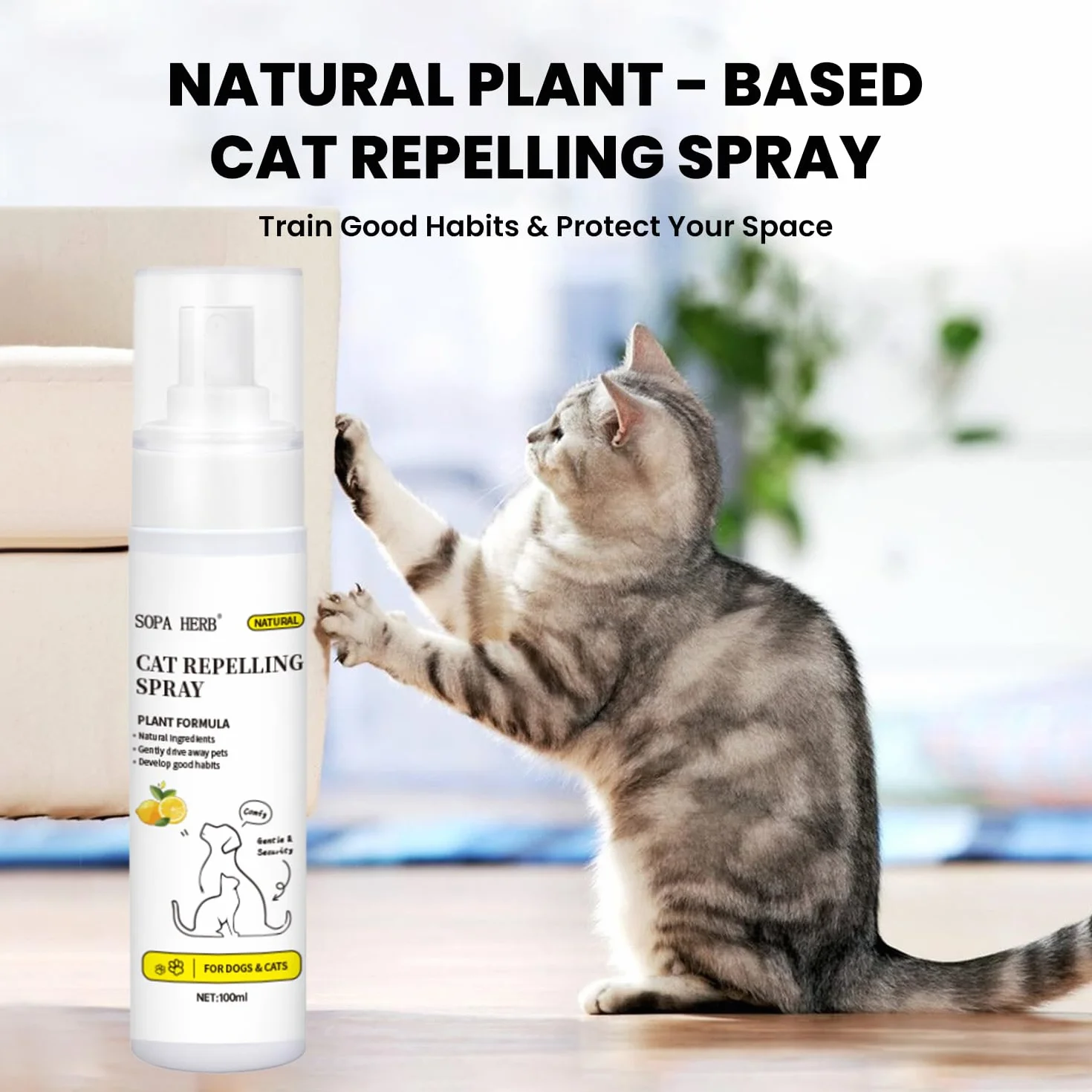 Sopa - Spray repelente para gatos, fórmula natural a base de plantas, protección interior y exterior, 100 ml