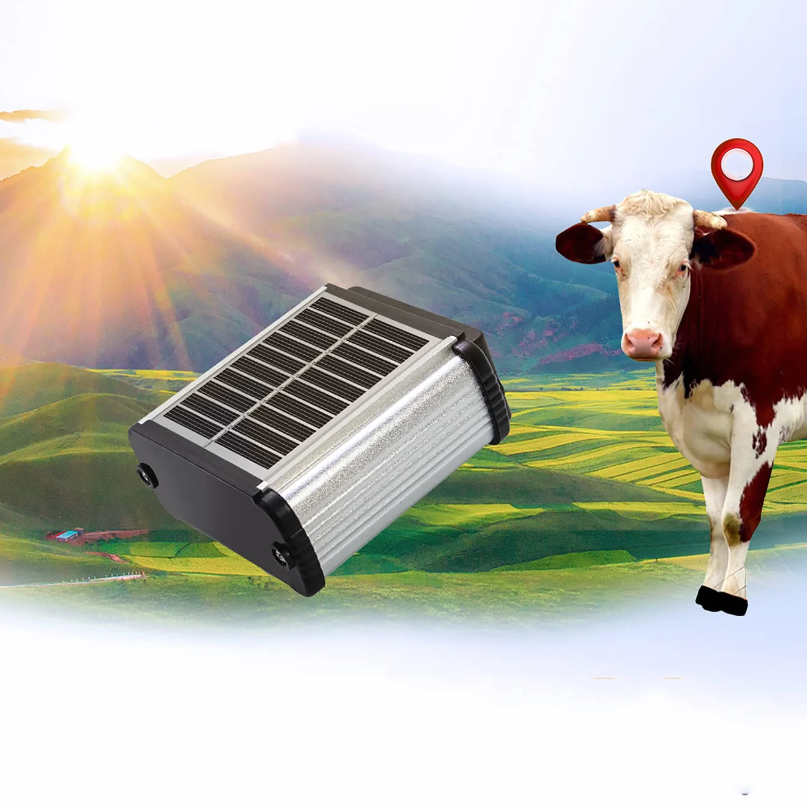 Rastreador De Animales, Rastreador GPS De Ganado, Caballos Y Camellos, Batería De Litio De 6000 MAh, Seguimiento Histórico, Posicionamiento En Tiempo Real, Configuración De Rango