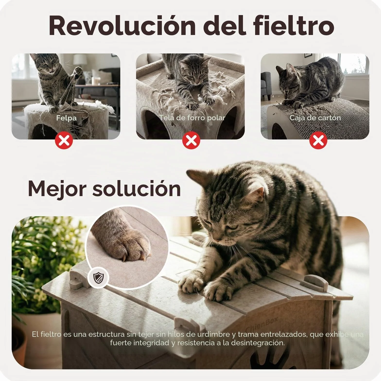Casa para Gatos Interior de Fieltro: Cálida Cueva para Gatos Invierno, Casa Gatos Robusta, Casa Gato con Entrada Rascadora, Cama para Gatos Fácil de Limpiar y Montar, Cueva Gato 38x36x38cm