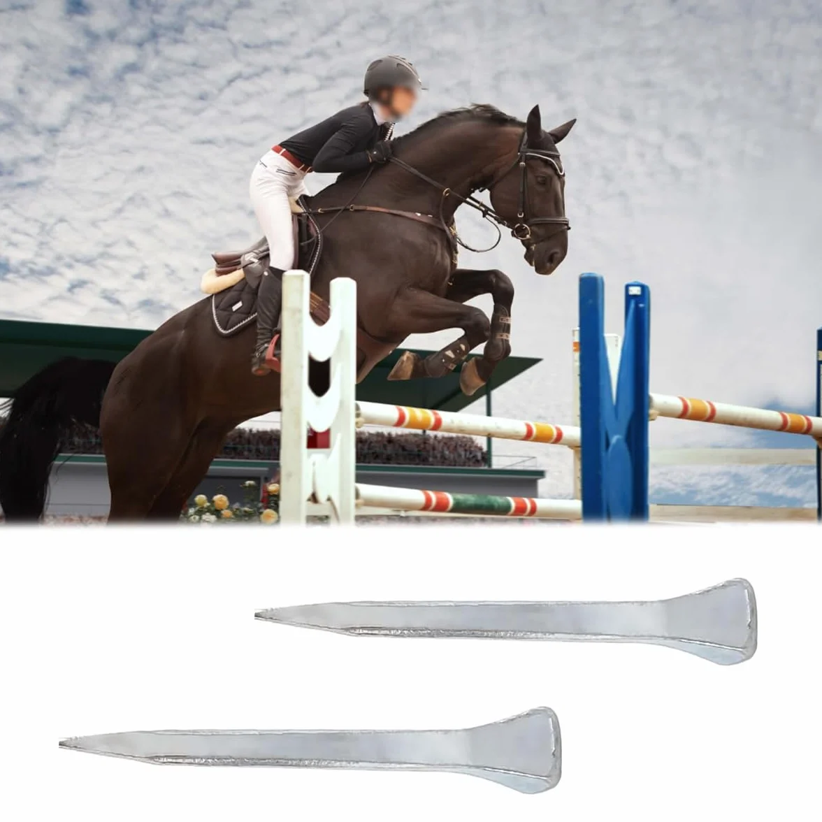 100 clavos para cascos de caballo E2 de 41 mm, de acero dulce, para carreras y deportes ecuestres.