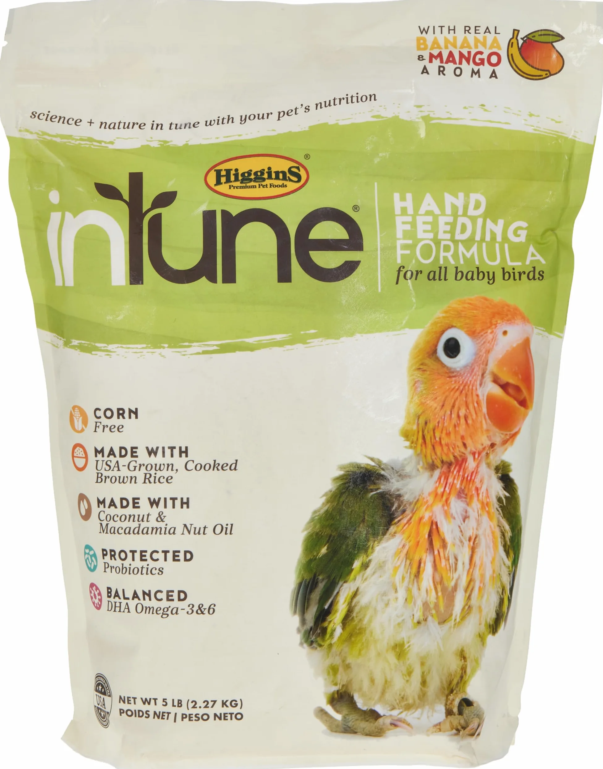 Higgins Intune - Alimento Natural para pájaros de bebé, 5 LB