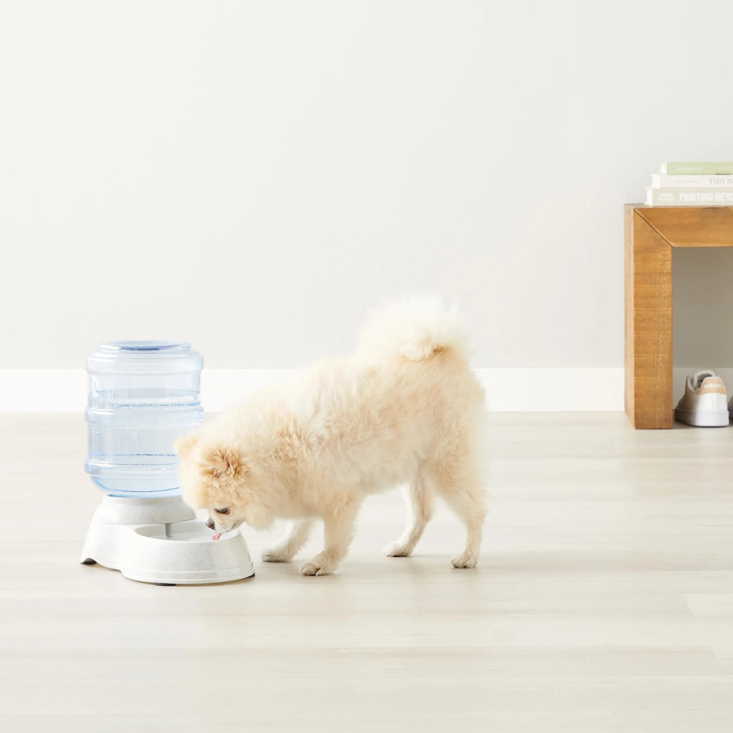 Amazon Basics Dispensador de agua, Perros y gatos, 3.8 litros (1 galones), Pequeño, Transparente