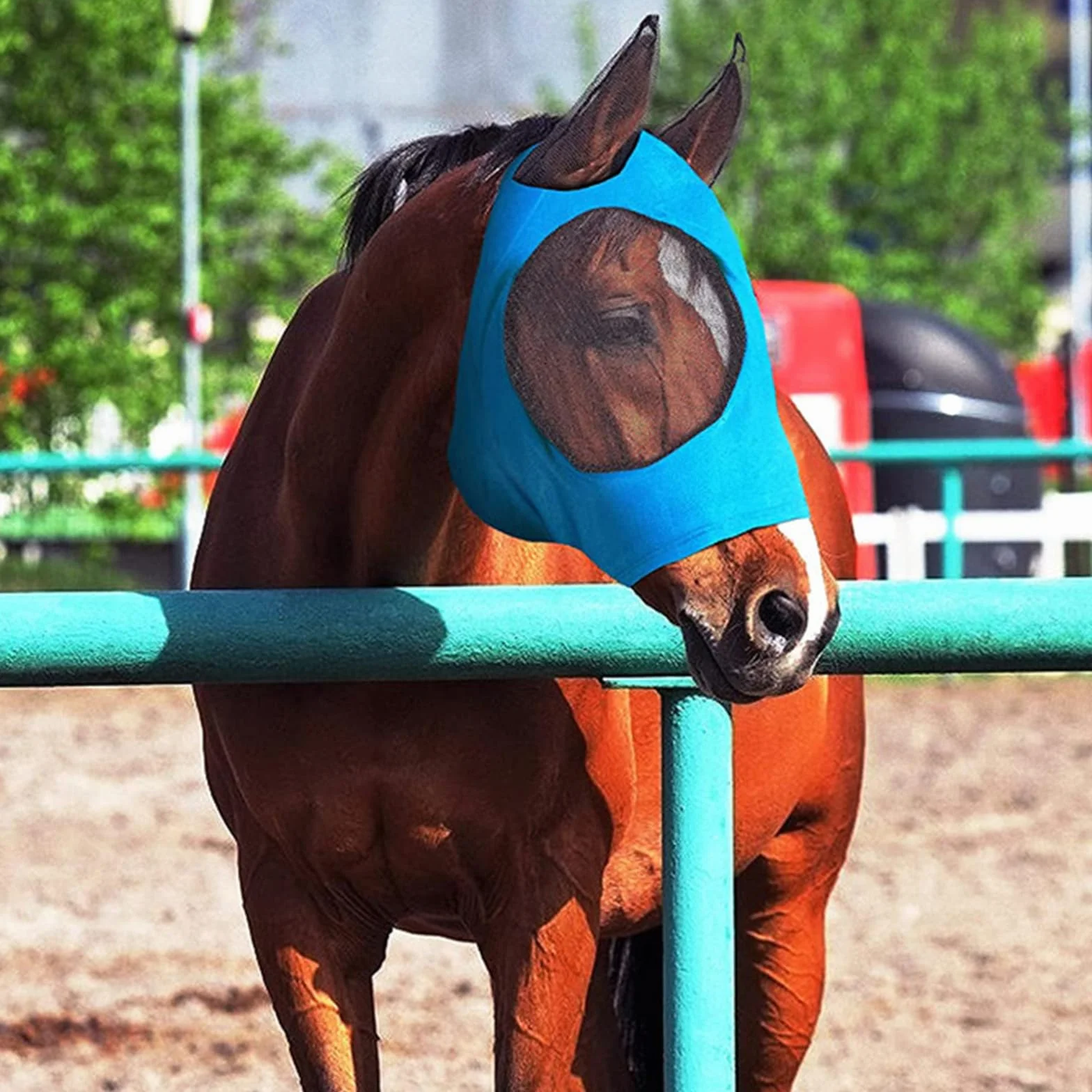 Máscara de Mosca de Caballo, Máscara Antimoscas para Caballo, Máscara de Mosca con Malla Transpirable, Anti-UV, Antimosquitos, Insectos, Máscara de Freno Elástica (Azul)