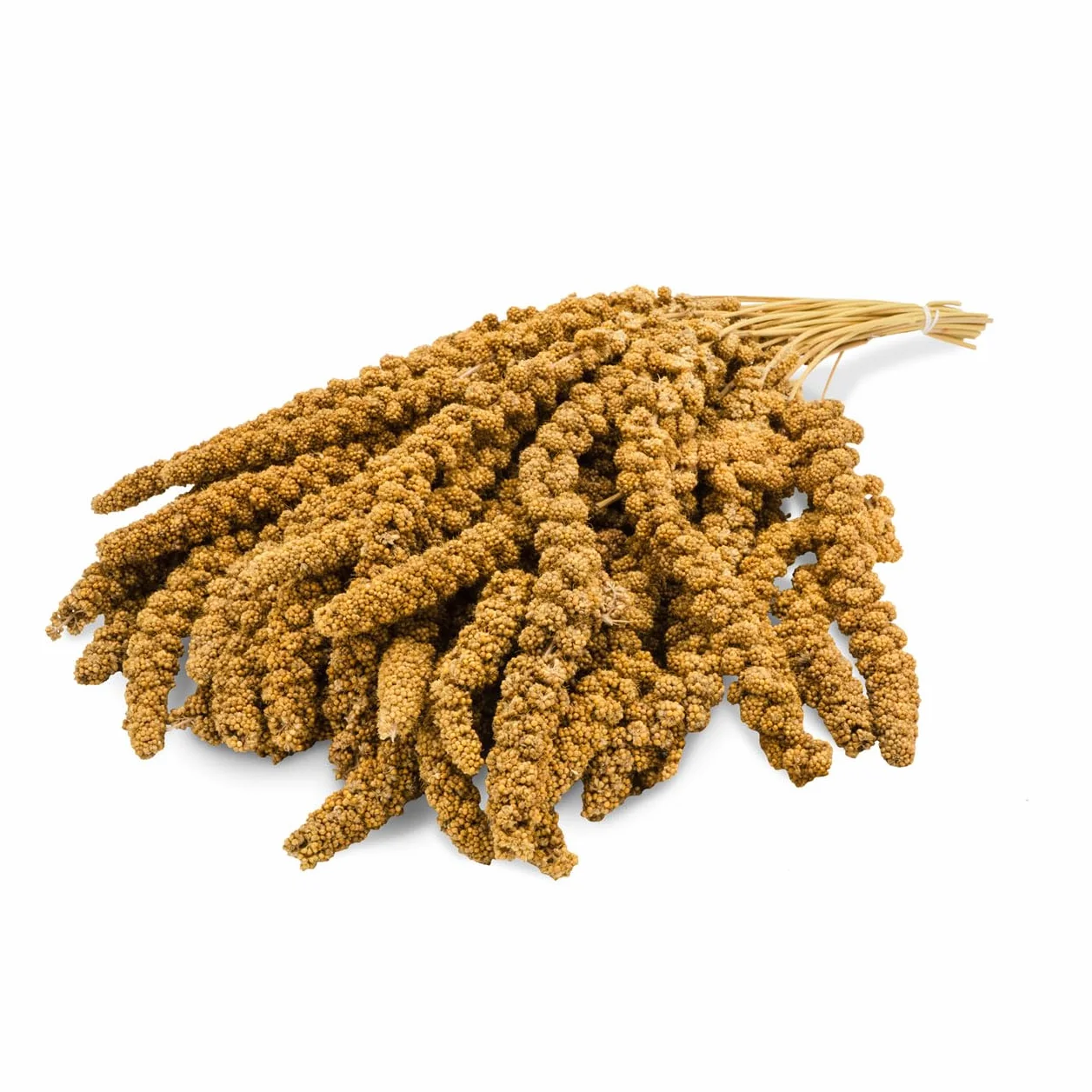 JR Farm Birds Mijo Zorra Amarillo 1 kg
