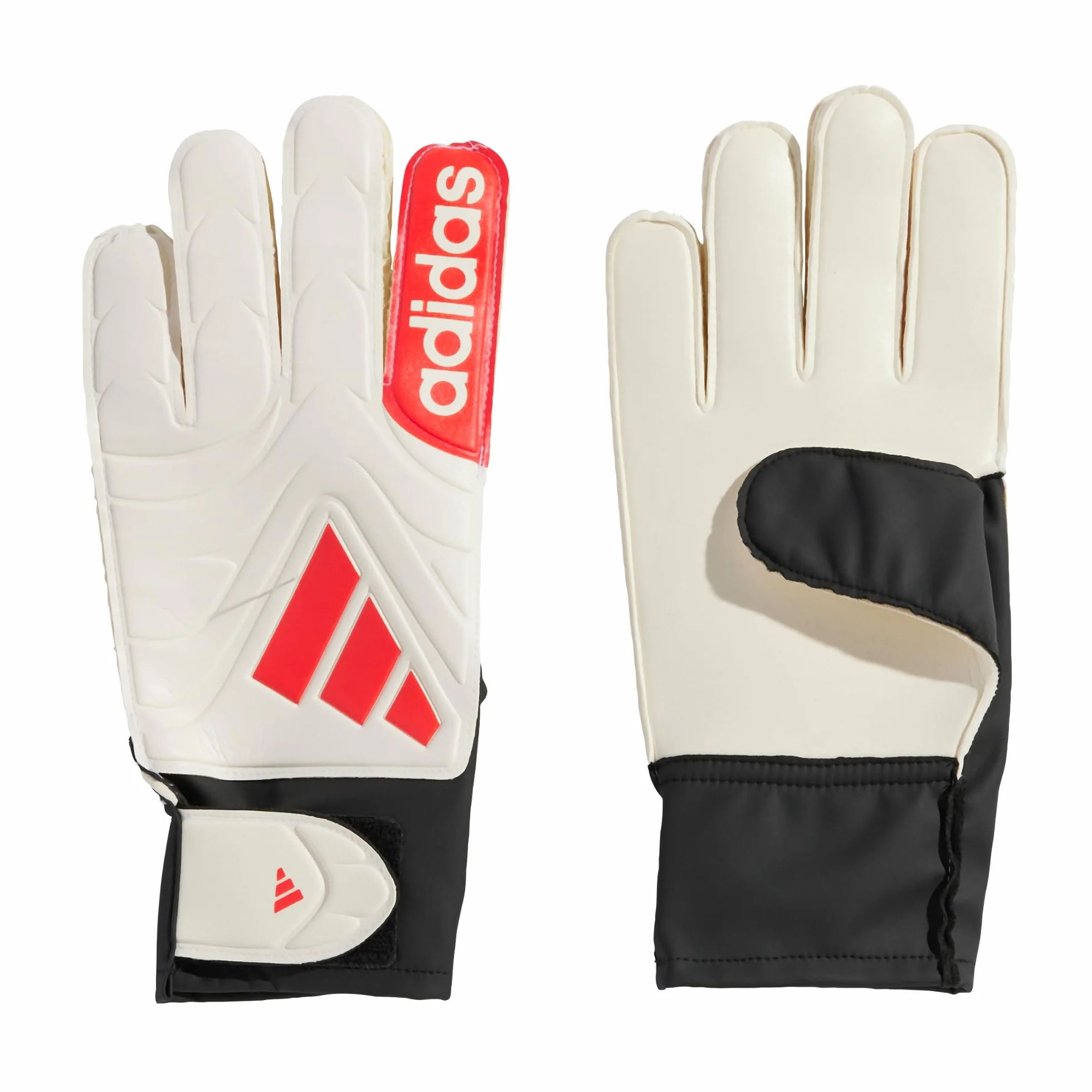 Adidas Copa Club TW-Handschuhe Energy Citrus