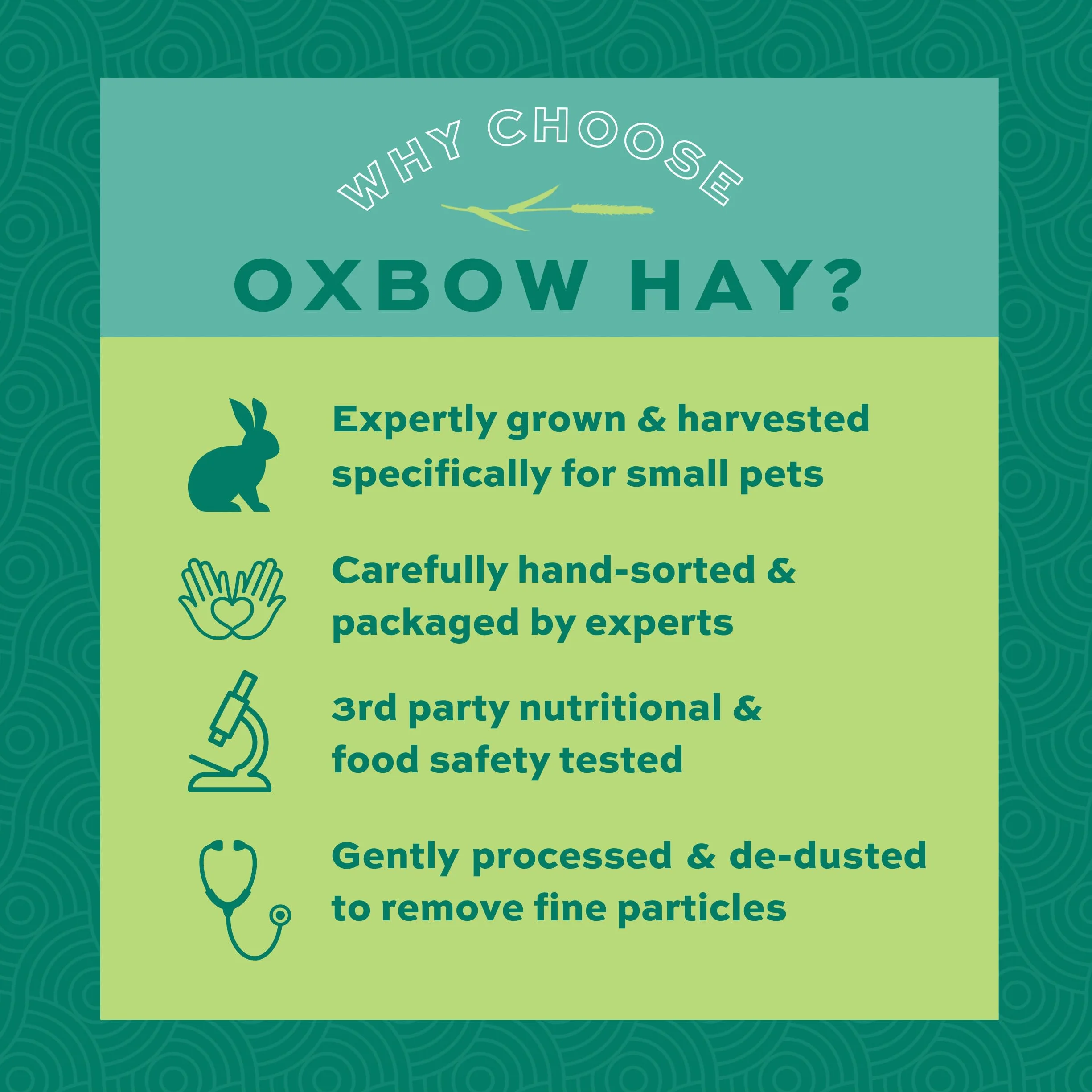 Petlife Oxbow Western Timothy Hay for Small Pet, 1.1 Kg