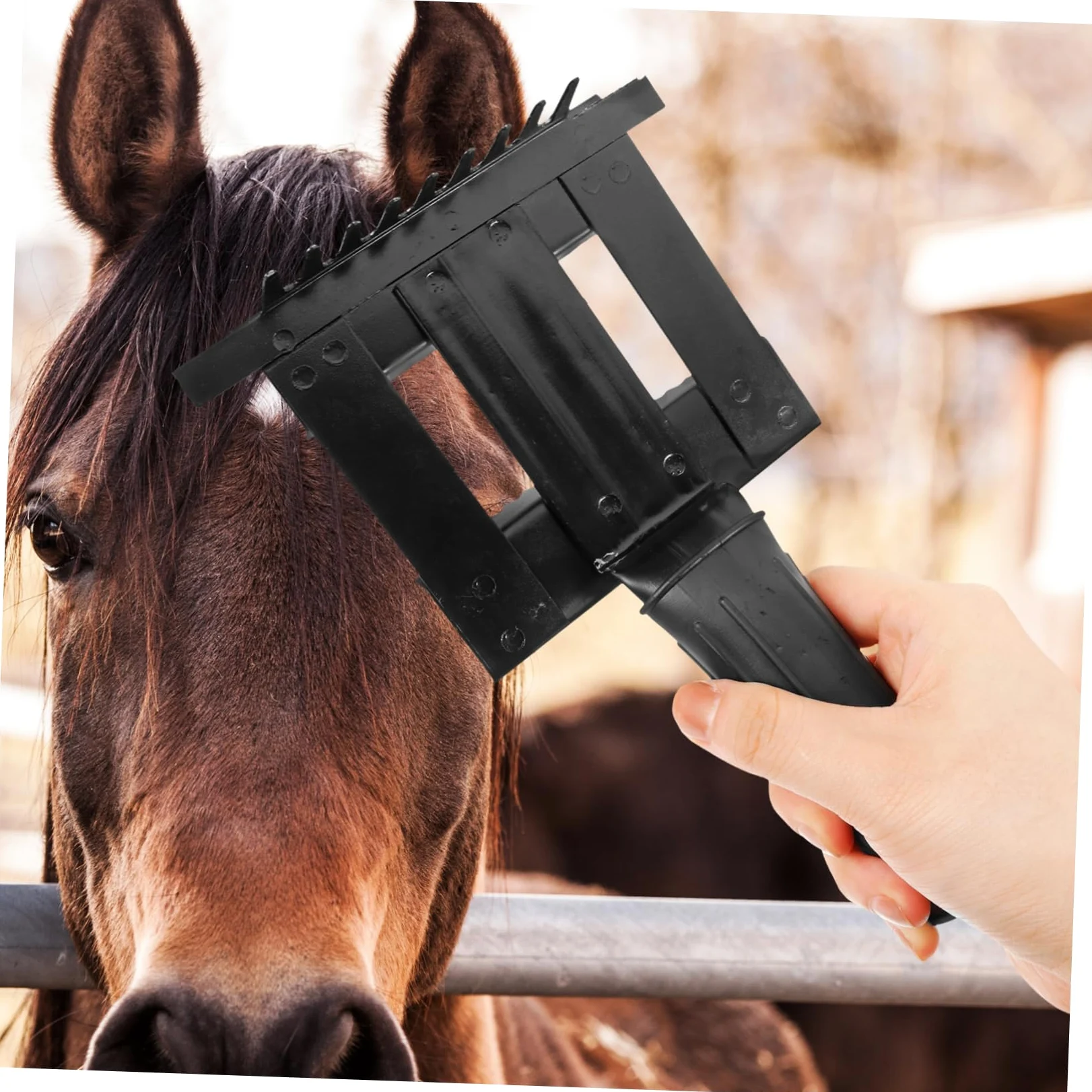 Kisangel 5 Peines Resistentes Para Limpieza De Pelo De Caballo Rastrillo Para El Cuidado De Caballos Cepillo De Limpieza Para Caballos Peine Para Pelo De Mascotas.