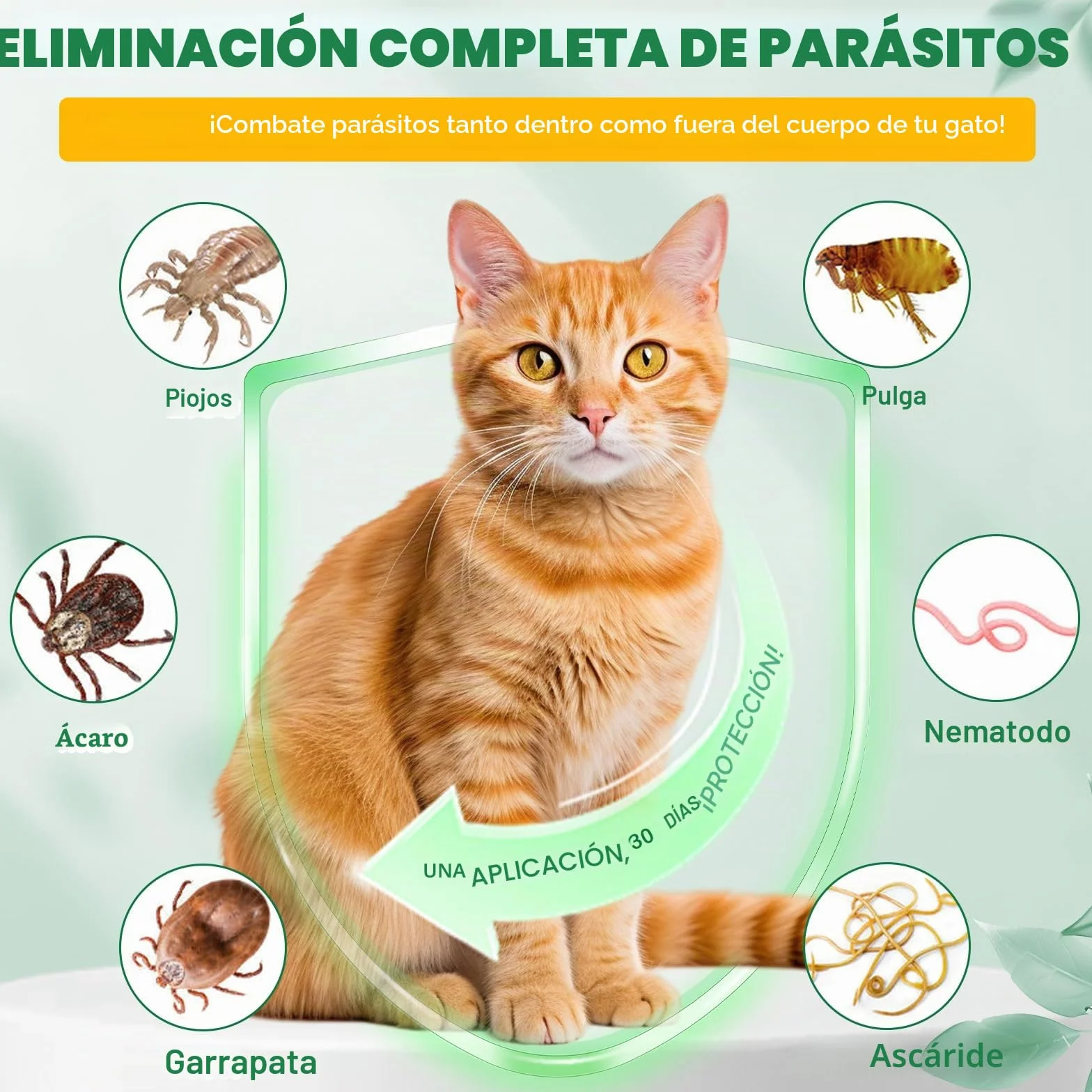 Ver-mi-fu-ge tópico en gotas para gatos 6 unidades, Ver-mif-UG-e Spot on para gatos, prevención de pulgas y garrapatas, fórmula natural fuerte, protección contra las alergias cutáneas, de 6 meses