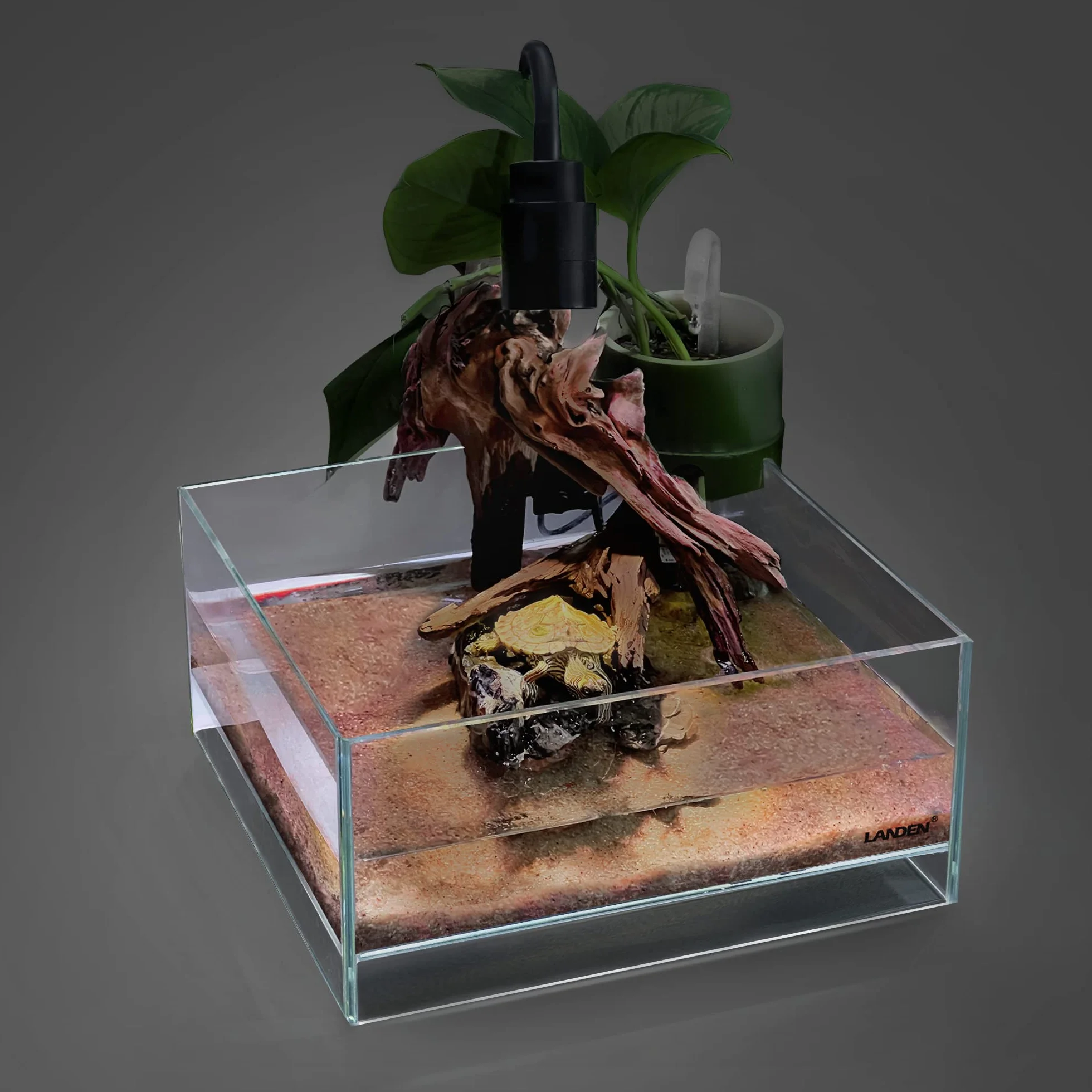 LANDEN Tanque de Aire de Vidrio para Acuario multiescena, Tanque Poco Profundo de Hierro sin Borde de 1.6 galones, 10.6 x 10.6 x 4.7 Pulgadas (27 x 27 x 12 cm), 5 mm de Grosor