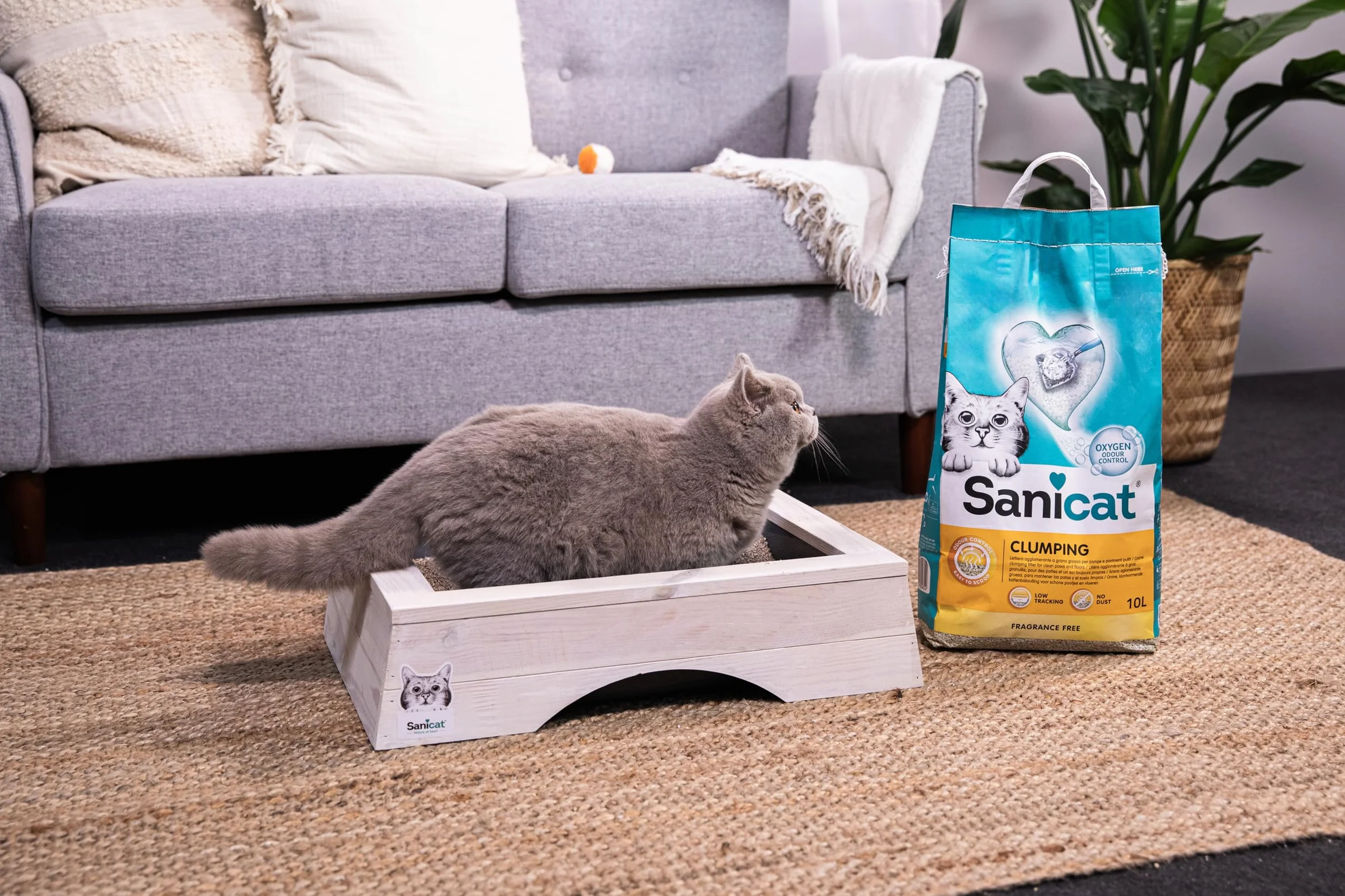 Sanicat Arena para Gatos Aglomerante Sin perfume 10 L Control de Olor