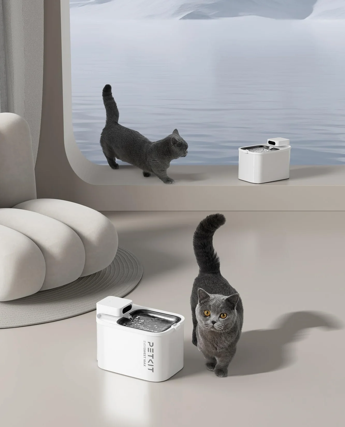 PETKIT Filtro para Fuente de Gatos, 5 Piezas, para la Fuente para Gatos Sin Cable EVERSWEET MAX, Carbón Activo, Filtración de Alta Eficacia