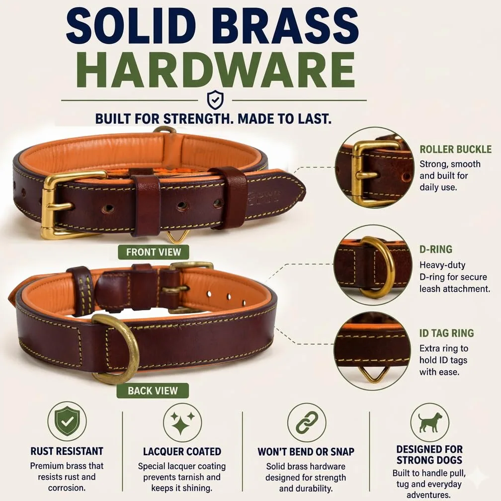 Collar de Cuero Genuino para Perro | Grano Completo, Resistente, cómodo, Fuerte, Ideal para Cachorros, Razas pequeñas, Medianas y Grandes | (XL (Talla de Cuello 22.5-25.5"), marrón)