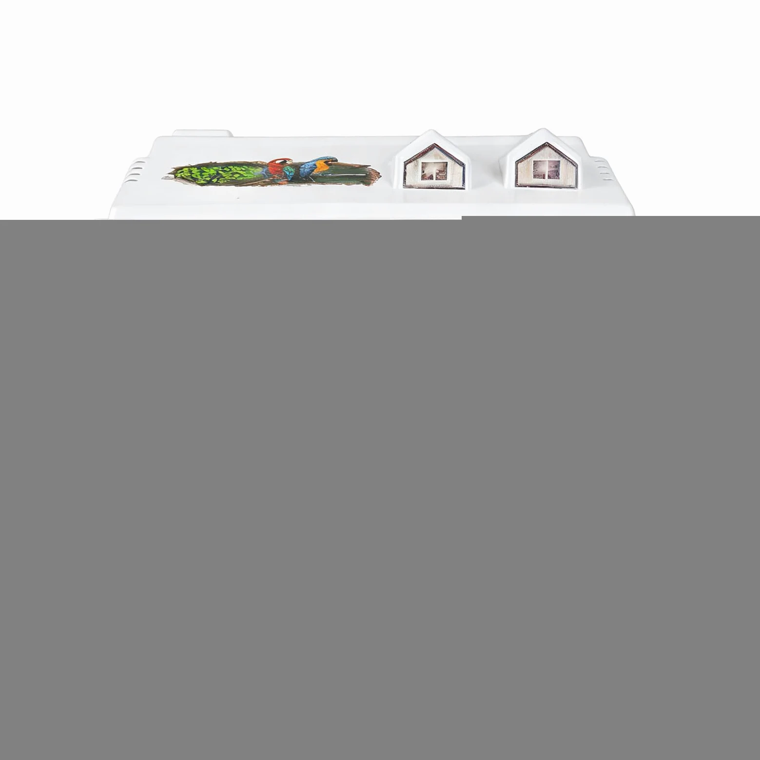 Jaula para Aves y Pájaros Hogar Portátil Transparente para Ninfas | Jaula Para Conuros Con Percha De Madera para en Interior para Cacatúas, Guacamayos, Conuros, Agapornis y Pinzones