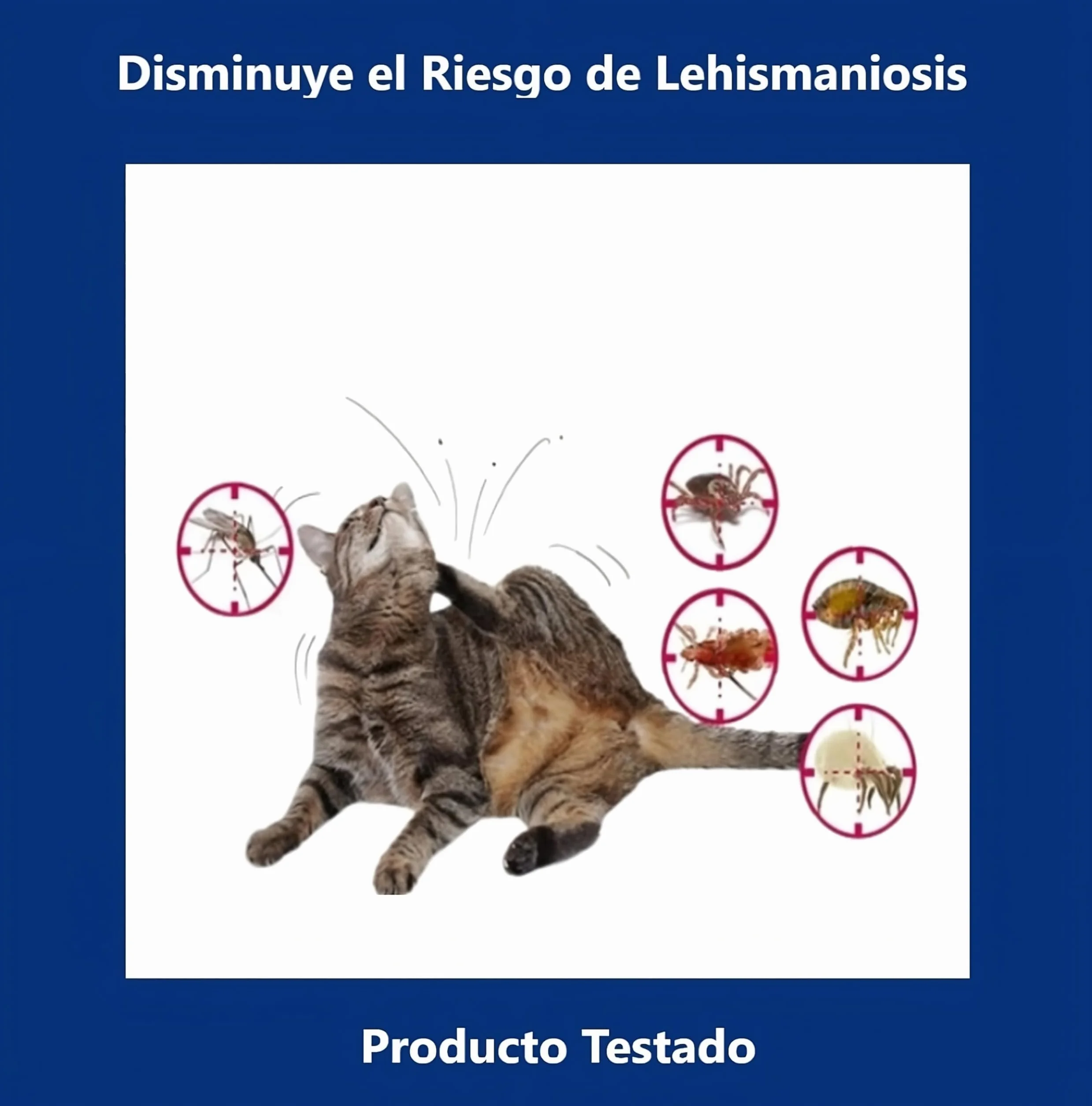 Collar Antiparasitario Gatos y Perros - Desparasitante Gatos Mosquitos, Pulgas y Garrapatas - Collar Antipulgas Gato, Desparasitacion Gato -38cm Ajustable, 8 Meses, Repelente Vegetal, Impermeable