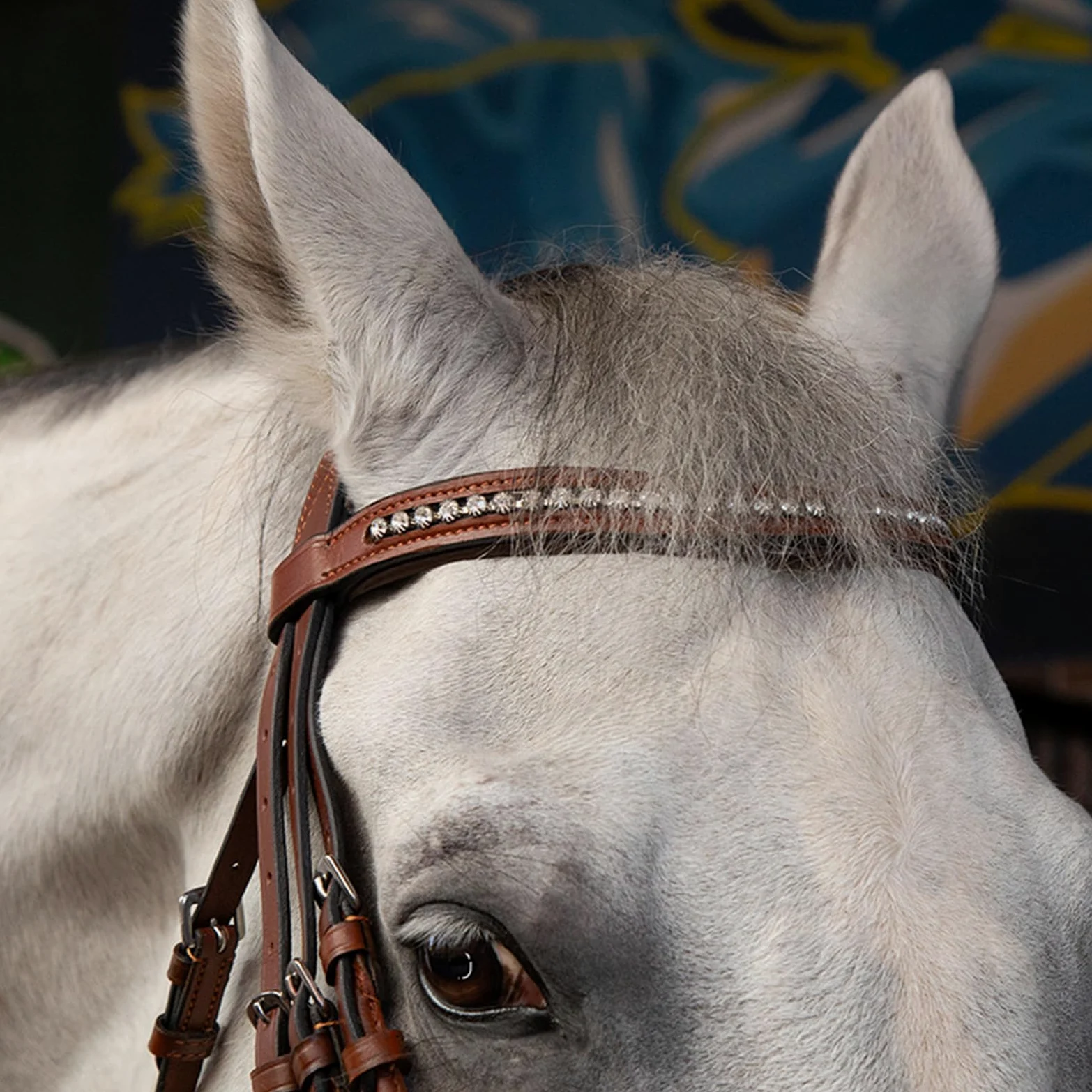 Cabestro de caballo y cuerda de plomo, material de cuero vacuno con diamantes de imitación para uso ecuestre