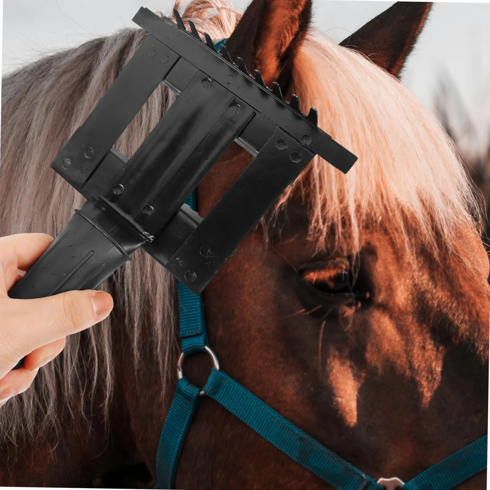 Sosoport 5piezas Peine De Limpieza Para Caballos Cepillo Ergonómico Para Deshedding y Cuidado De Mascotas Herramienta De Aseo Práctica y Duradera Para Eliminar Pelo y Suciedad