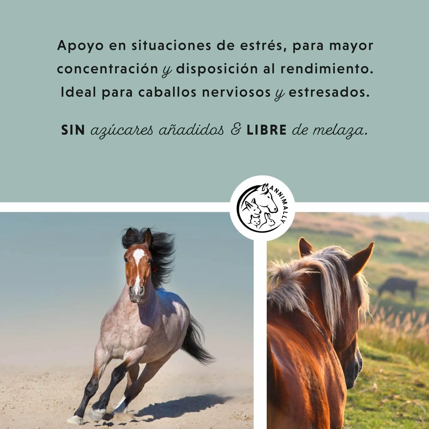 Annimally Pellets de Magnesio para Caballos 1 kg - Acetato de Magnesio y Óxido de Magnesio para una máxima biodisponibilidad