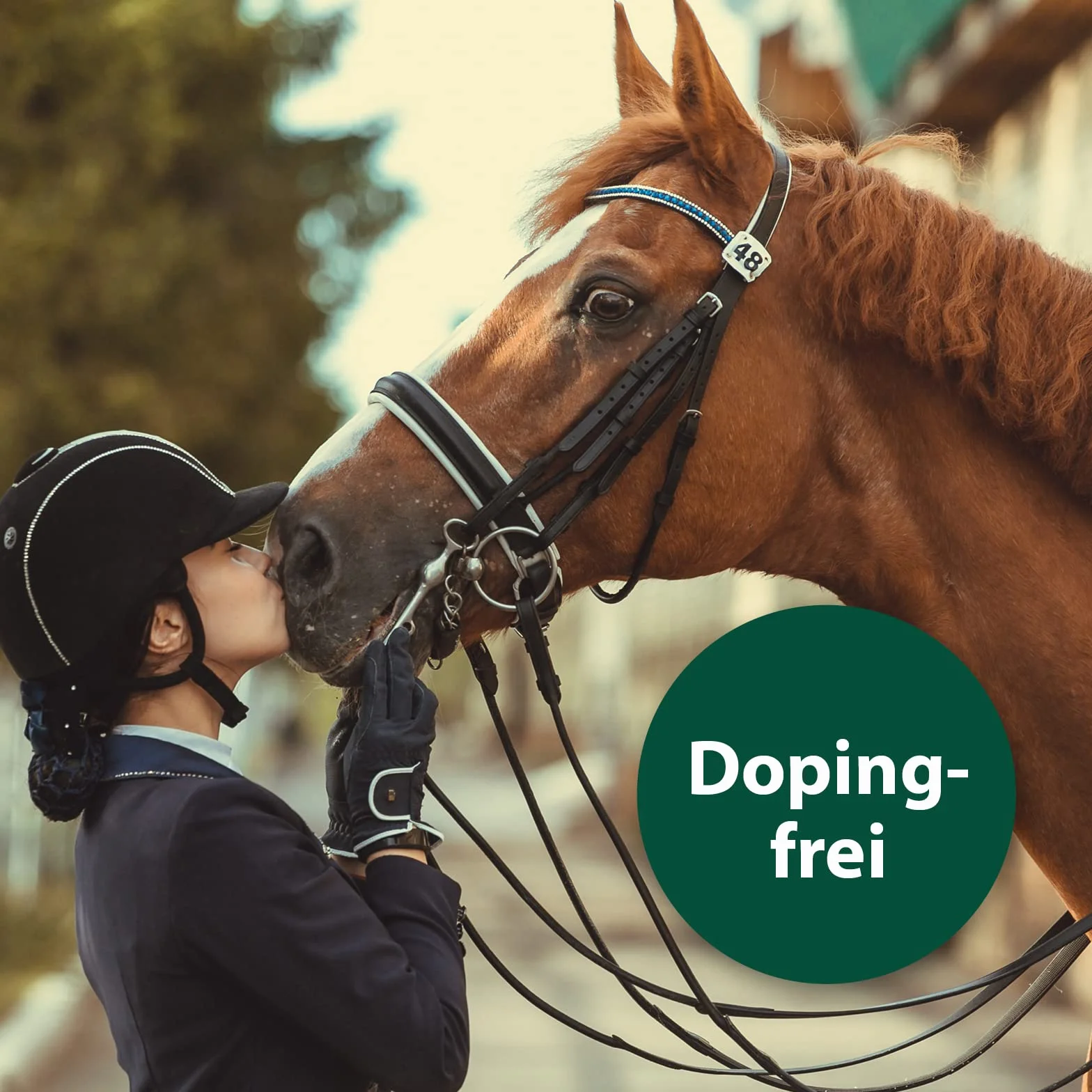 Equisept Cuidado de la Cola y la Melena, 500 ml, con Aceite de manzanilla Natural, Spray de Cola y Spray para Melena para Caballos, Brillo de Pelo Sedoso, fácil de peinar, sin dopaje